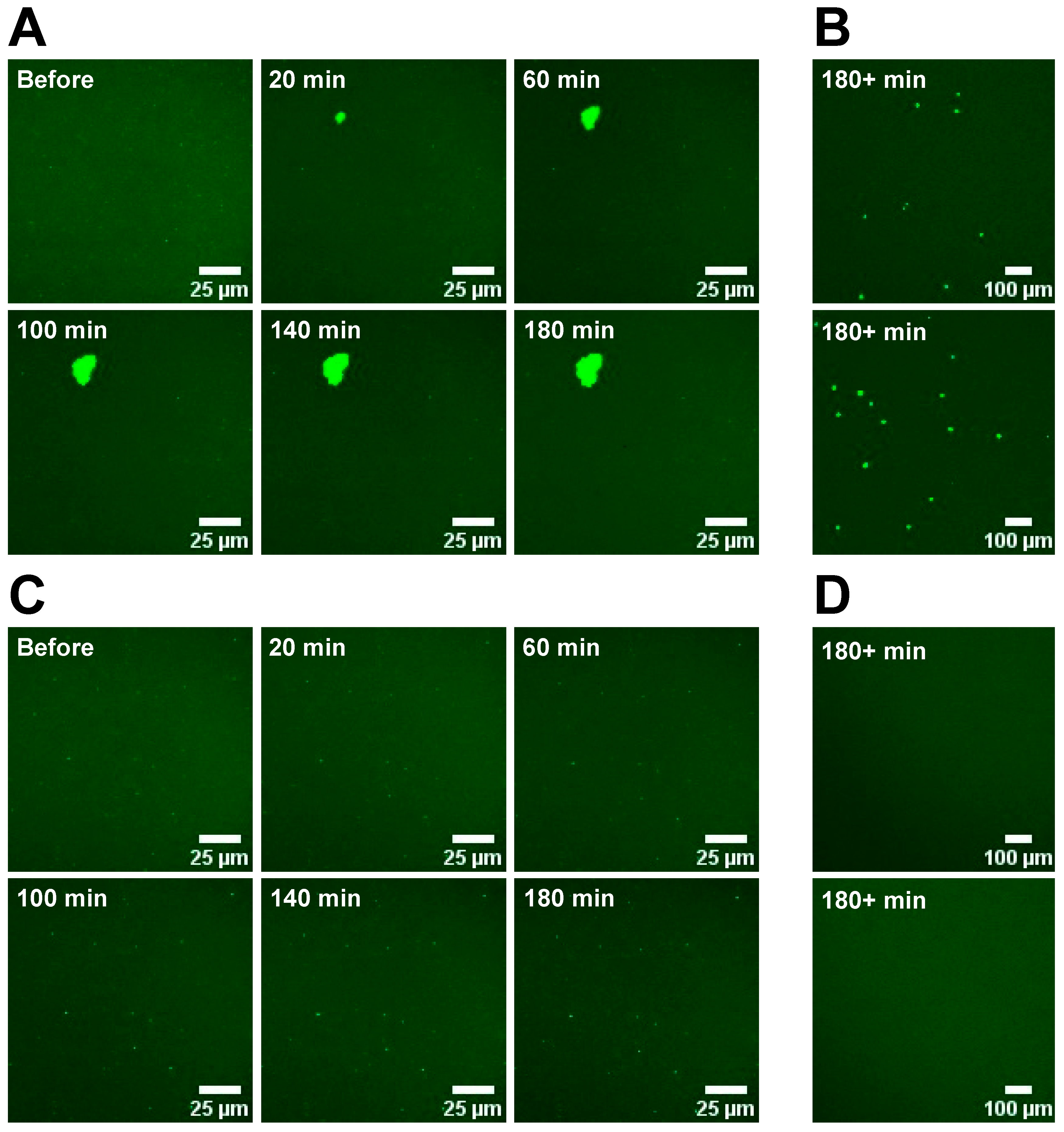 Membranes 14 00181 g0a1