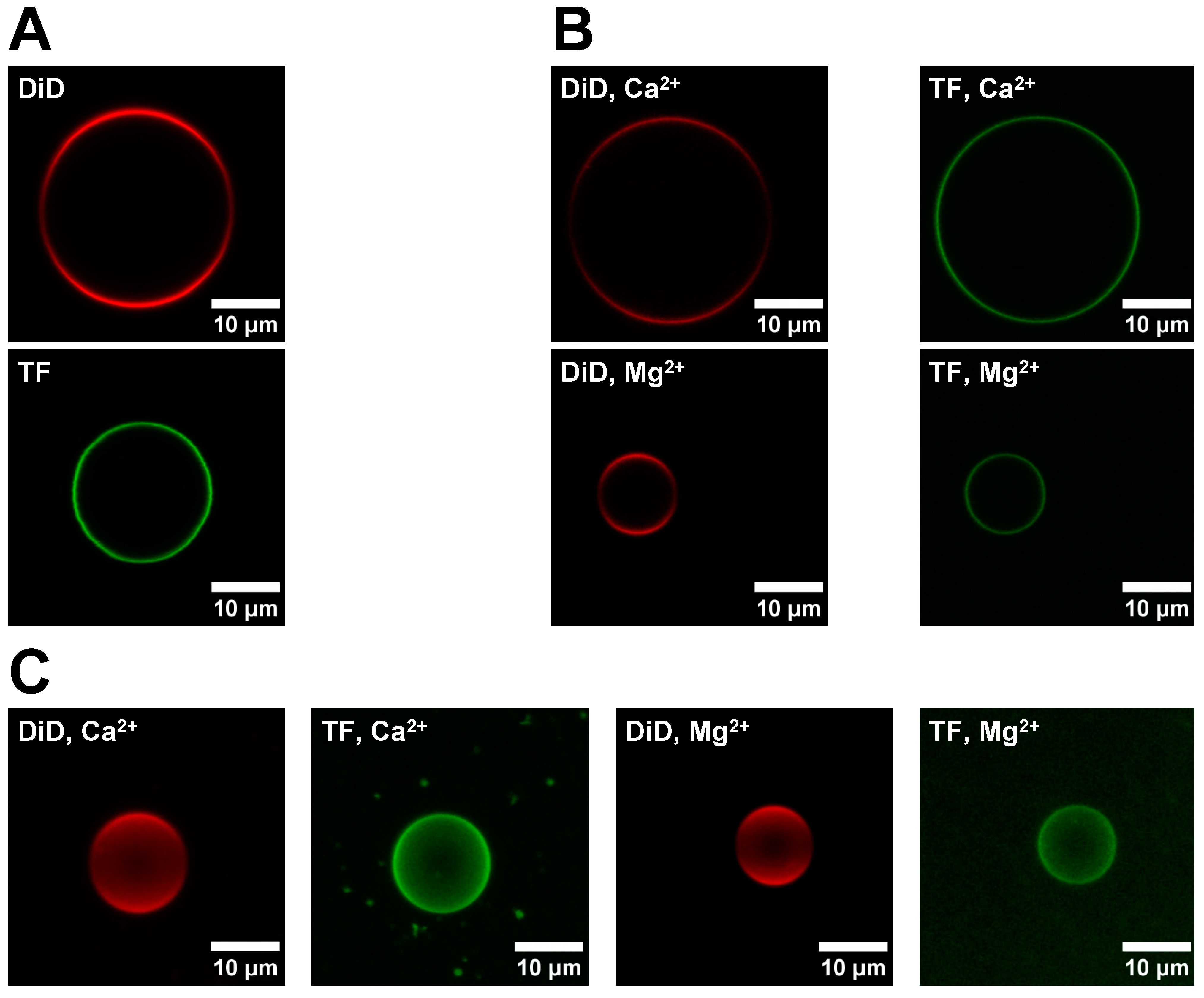 Membranes 14 00181 g0a2