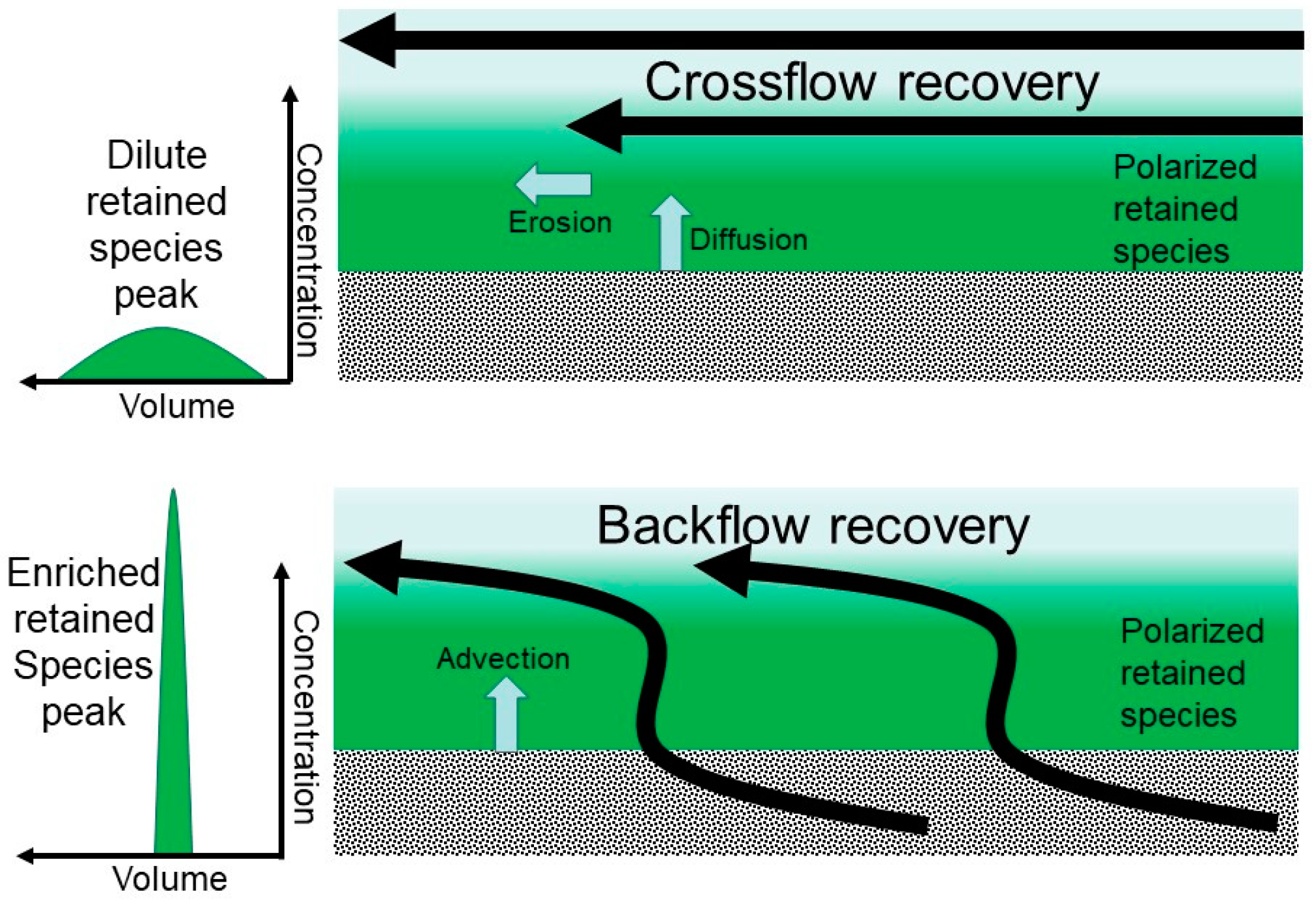 Membranes 14 00188 g002
