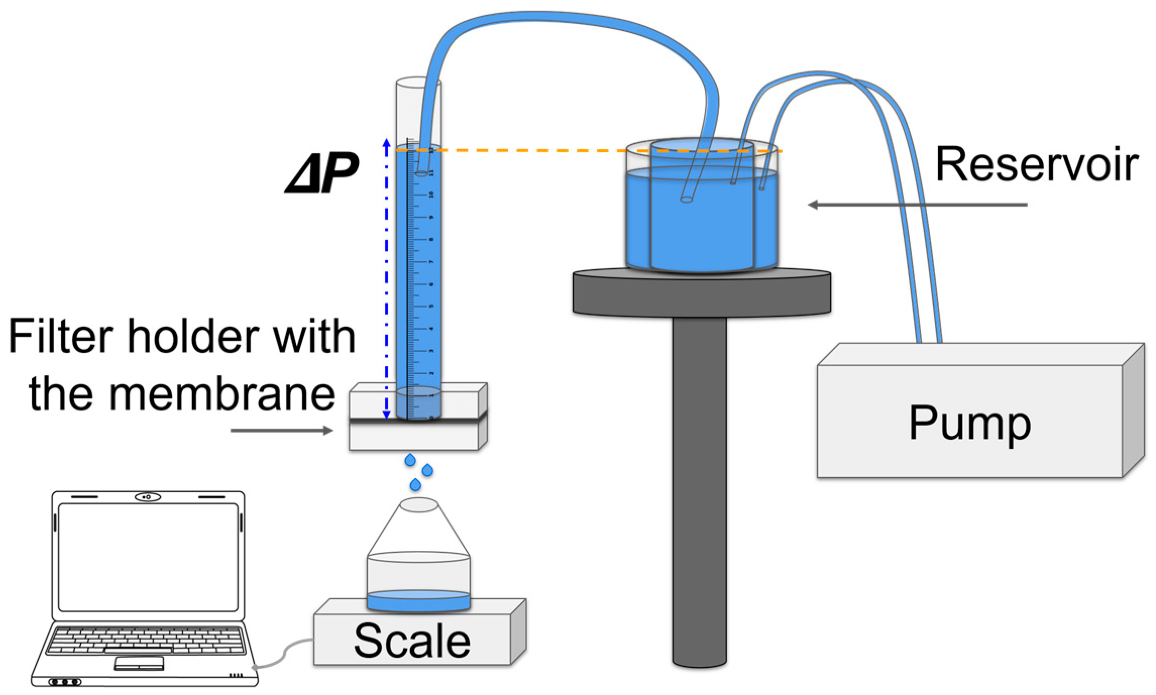 Membranes 14 00189 g001