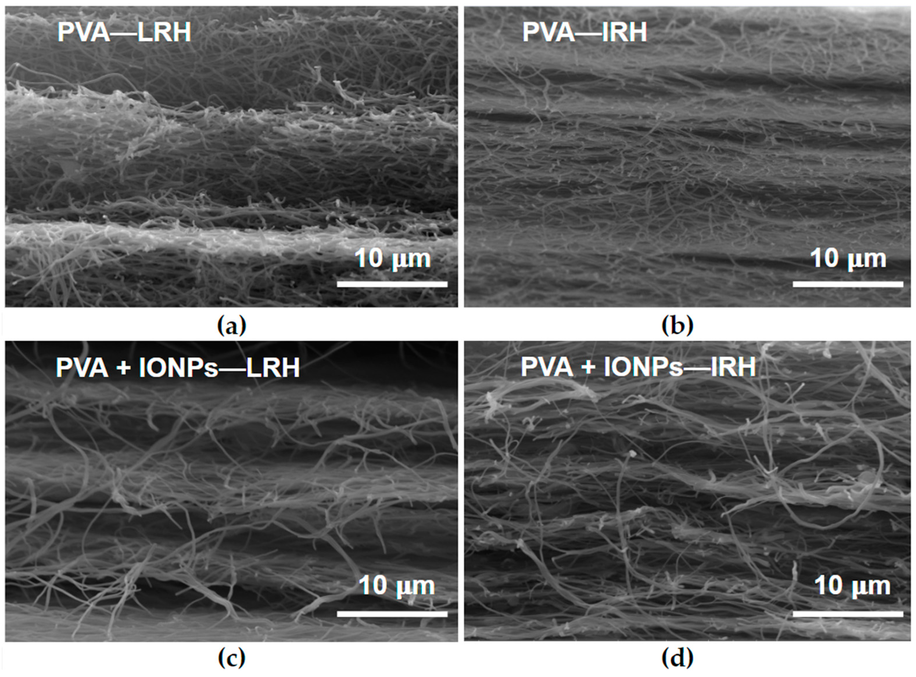 Membranes 14 00189 g008