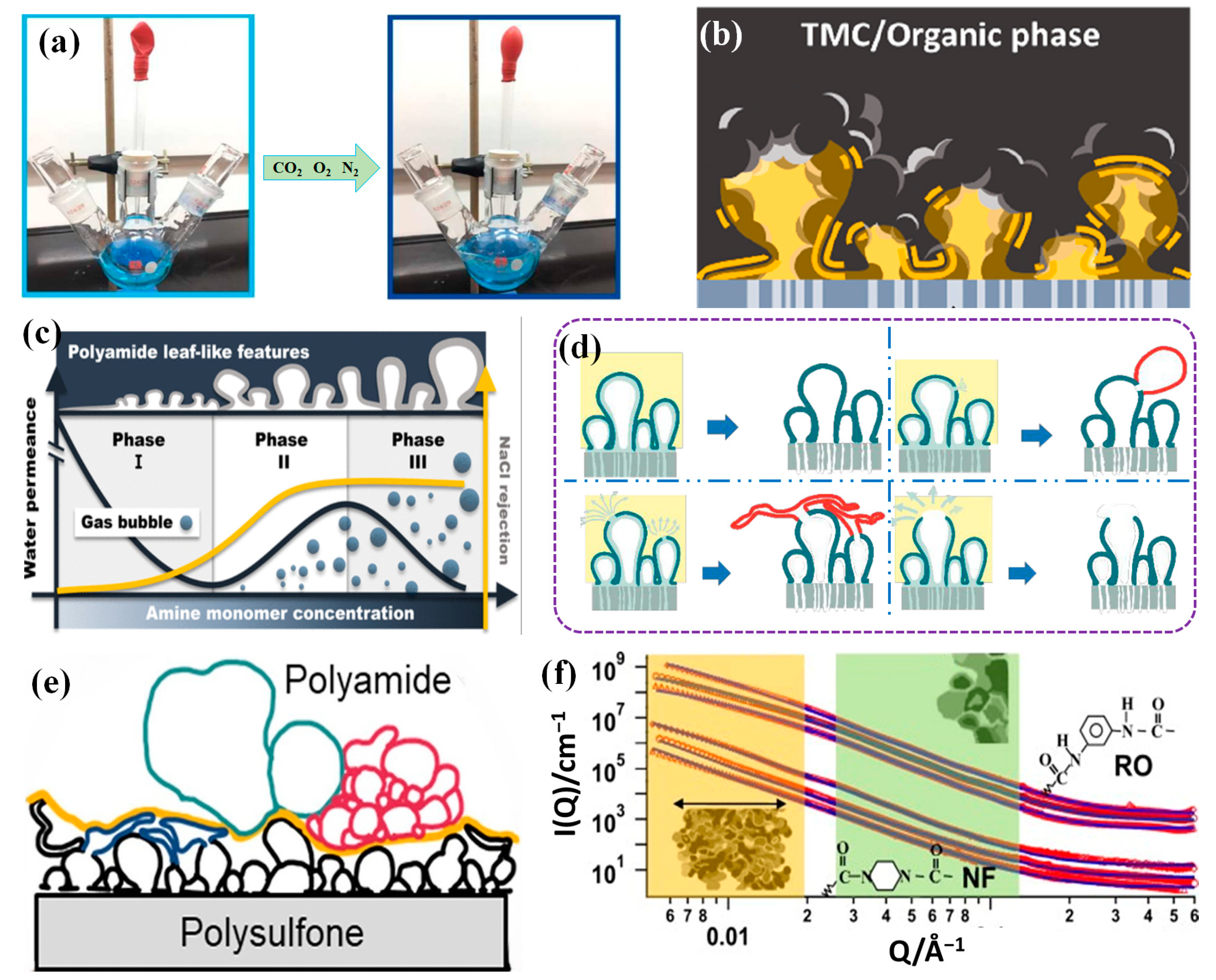 Membranes 14 00190 g002