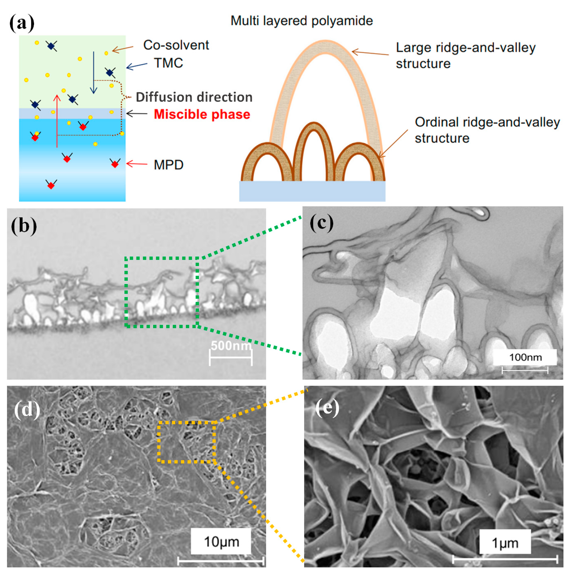 Membranes 14 00190 g003