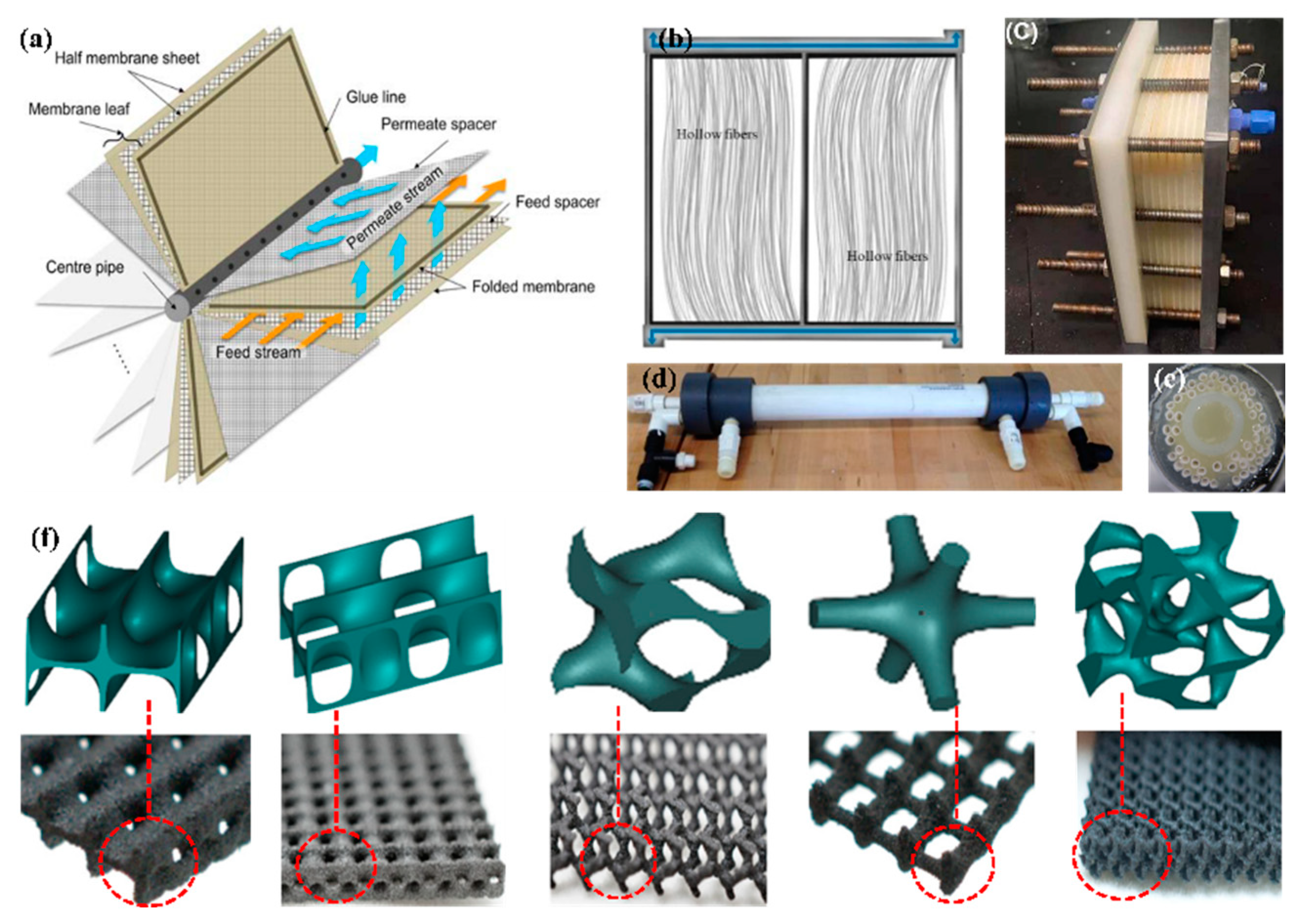 Membranes 14 00190 g004