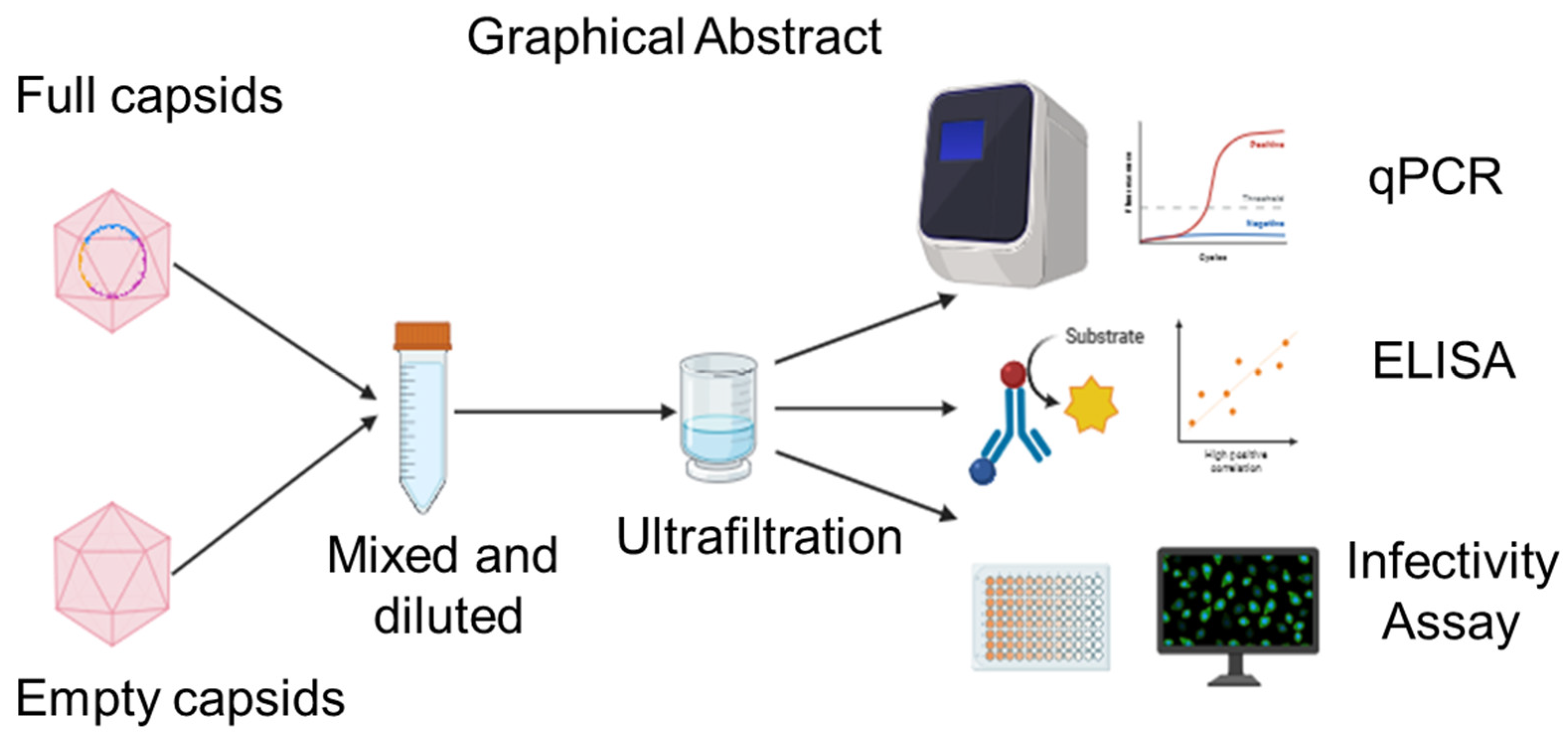 Membranes 14 00194 g001