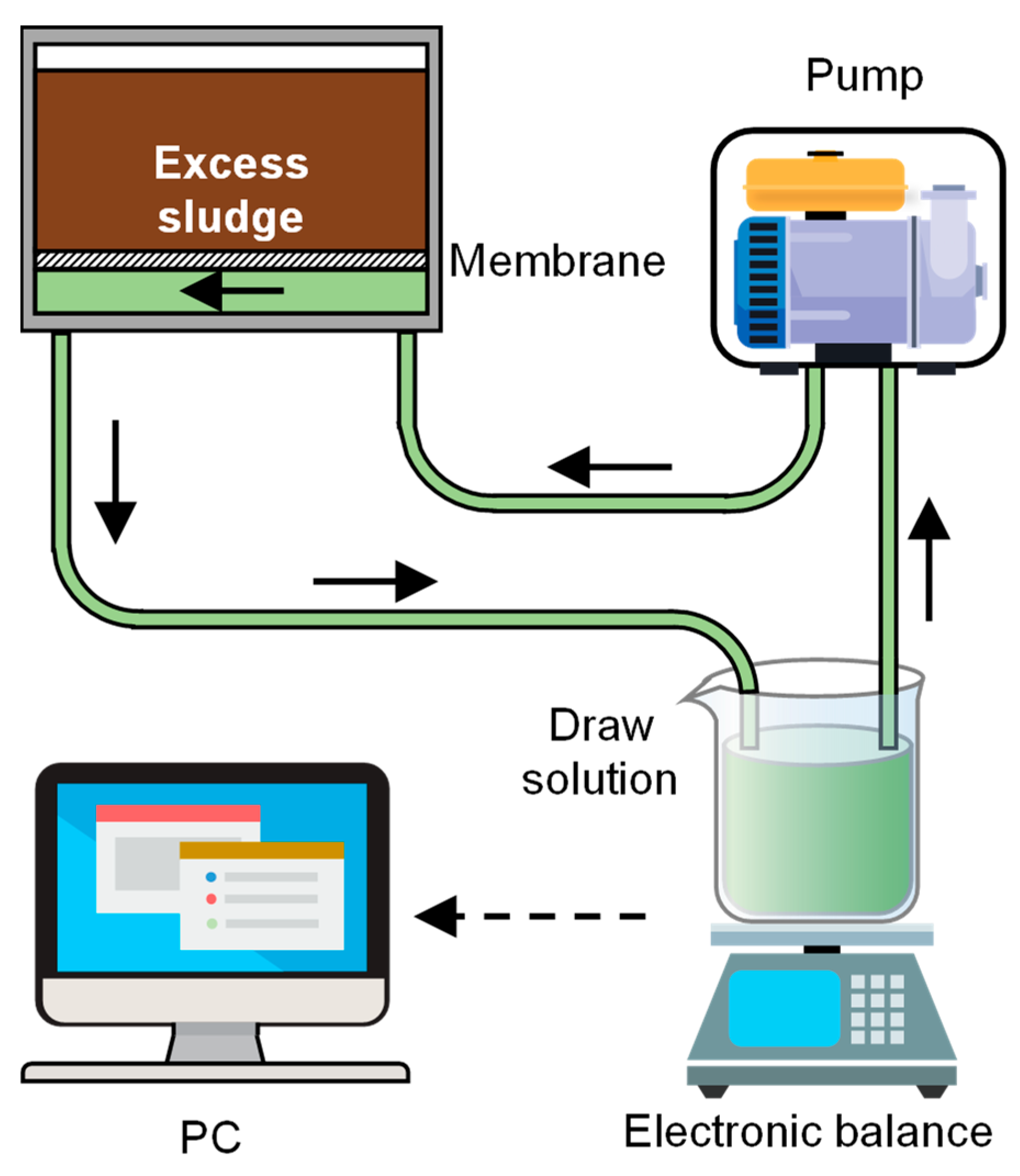 Membranes 14 00196 g001