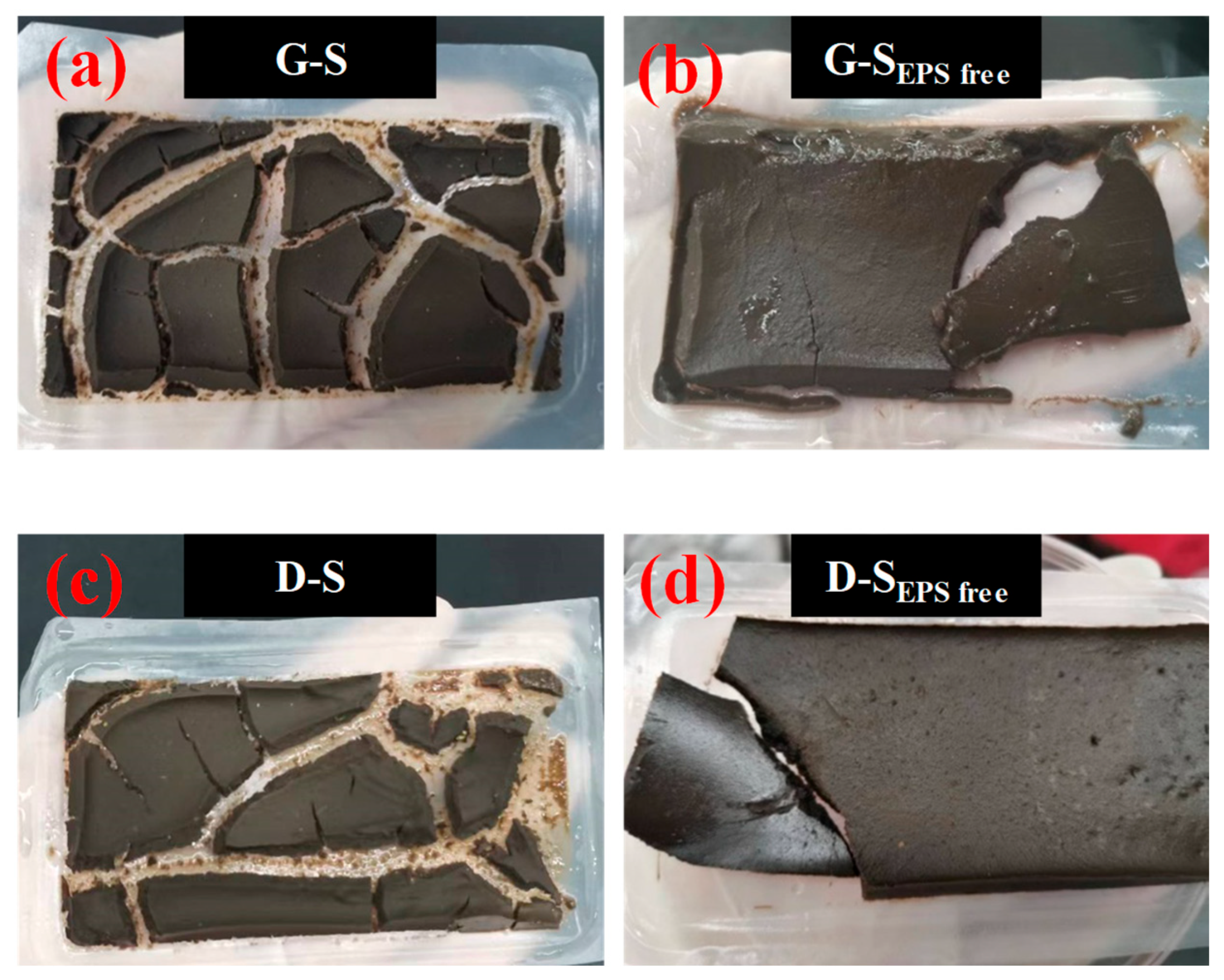 Membranes 14 00196 g011