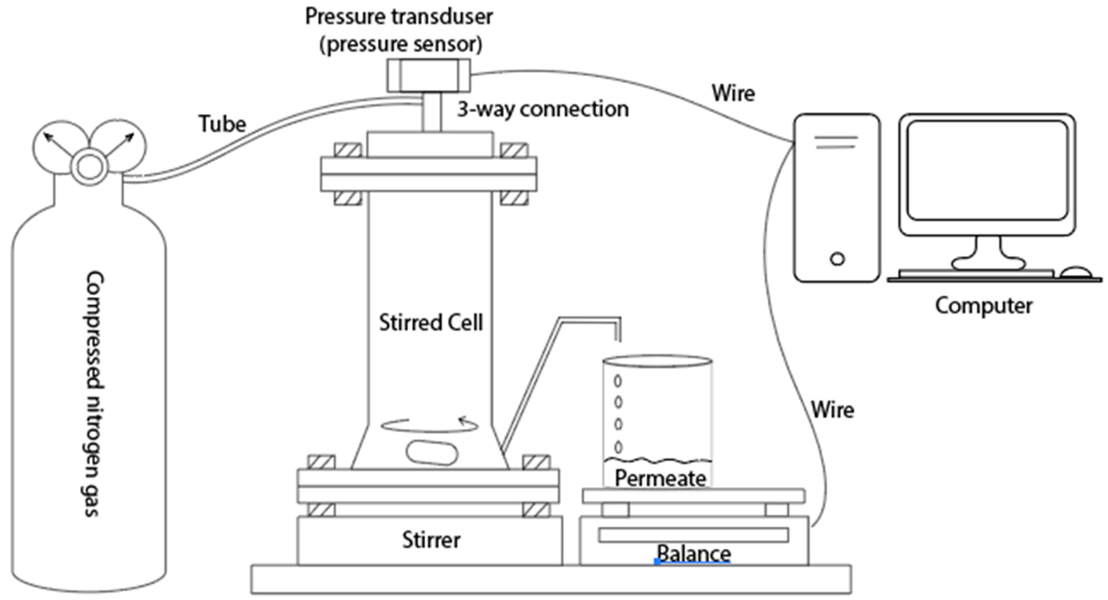 Membranes 14 00198 g001