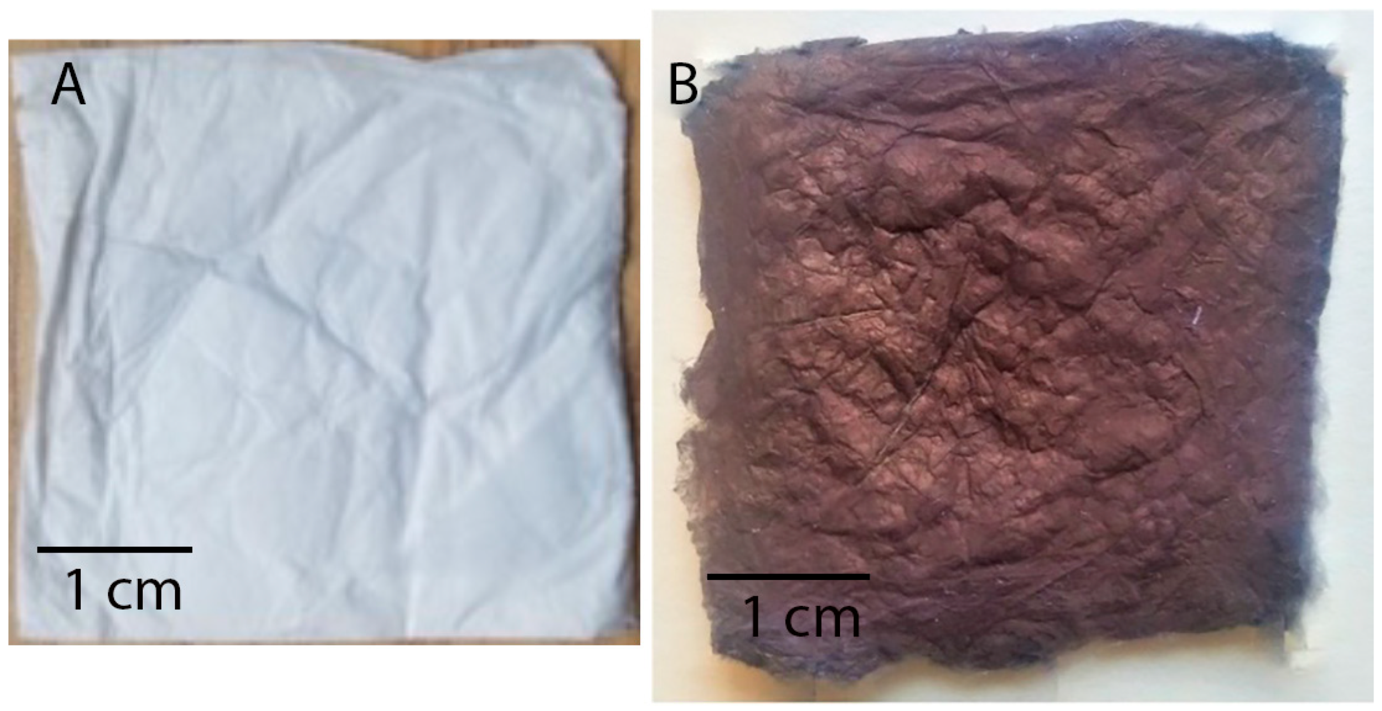 Membranes 14 00198 g002