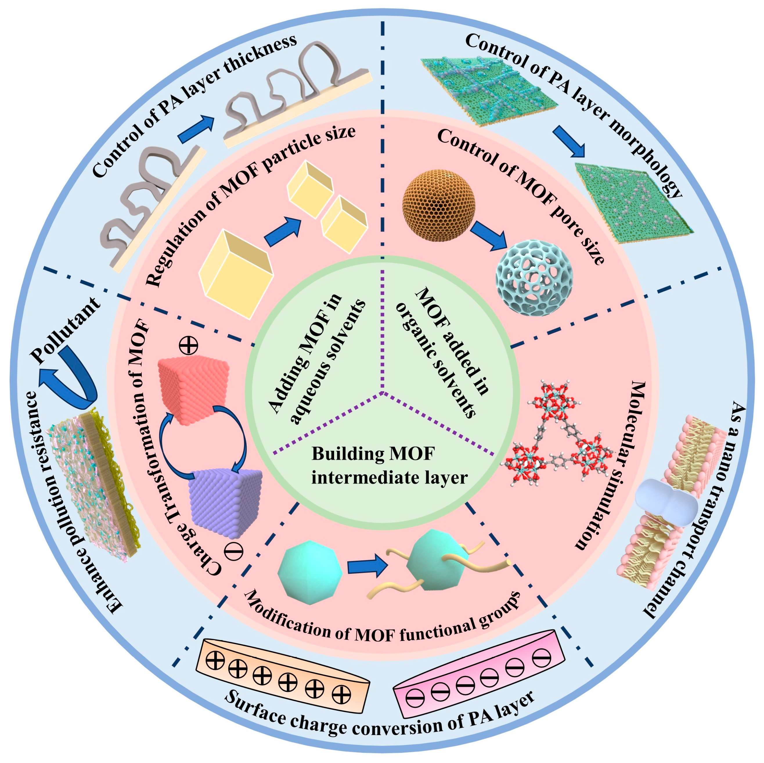 Membranes 14 00201 g001