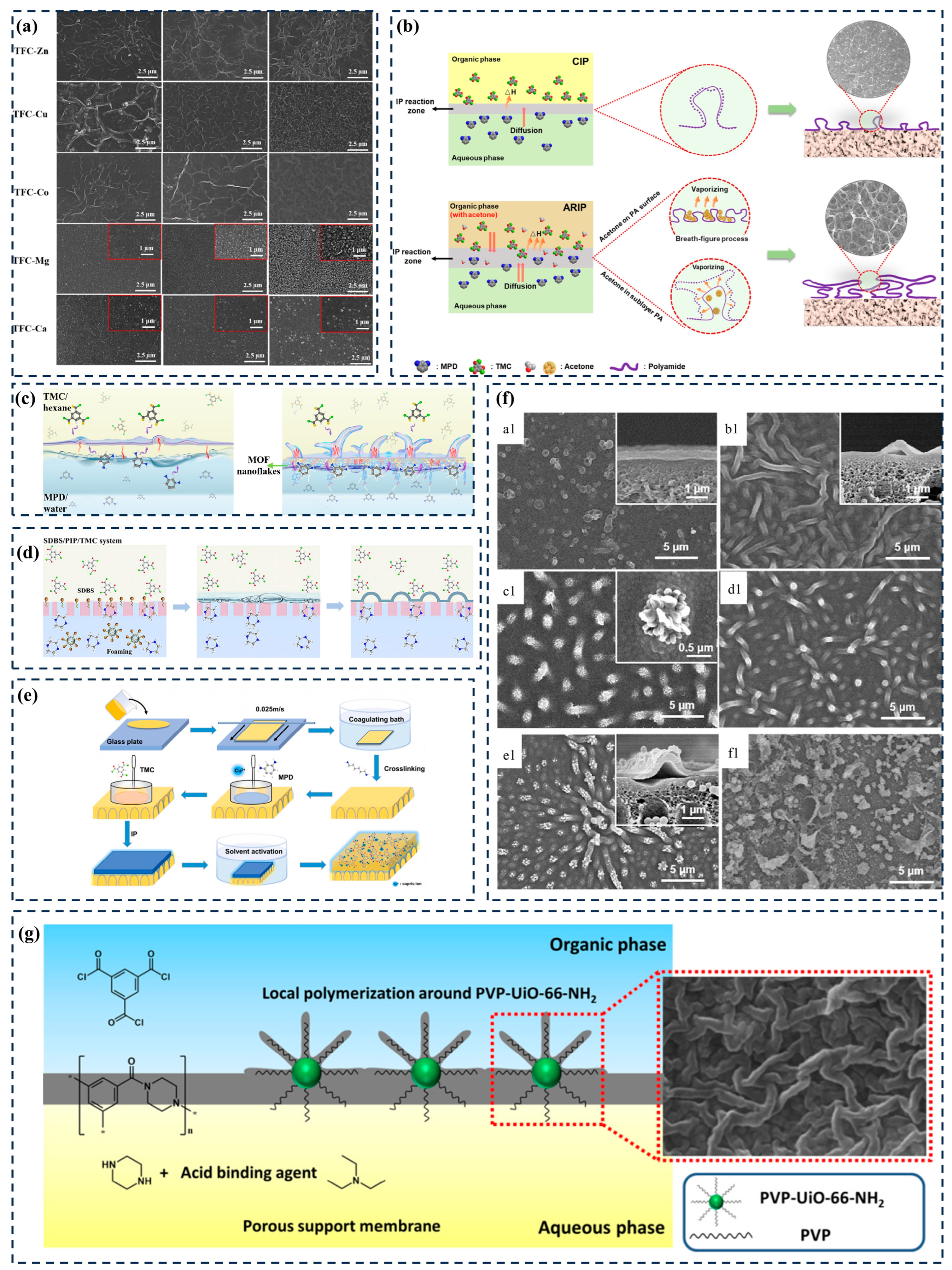 Membranes 14 00201 g003