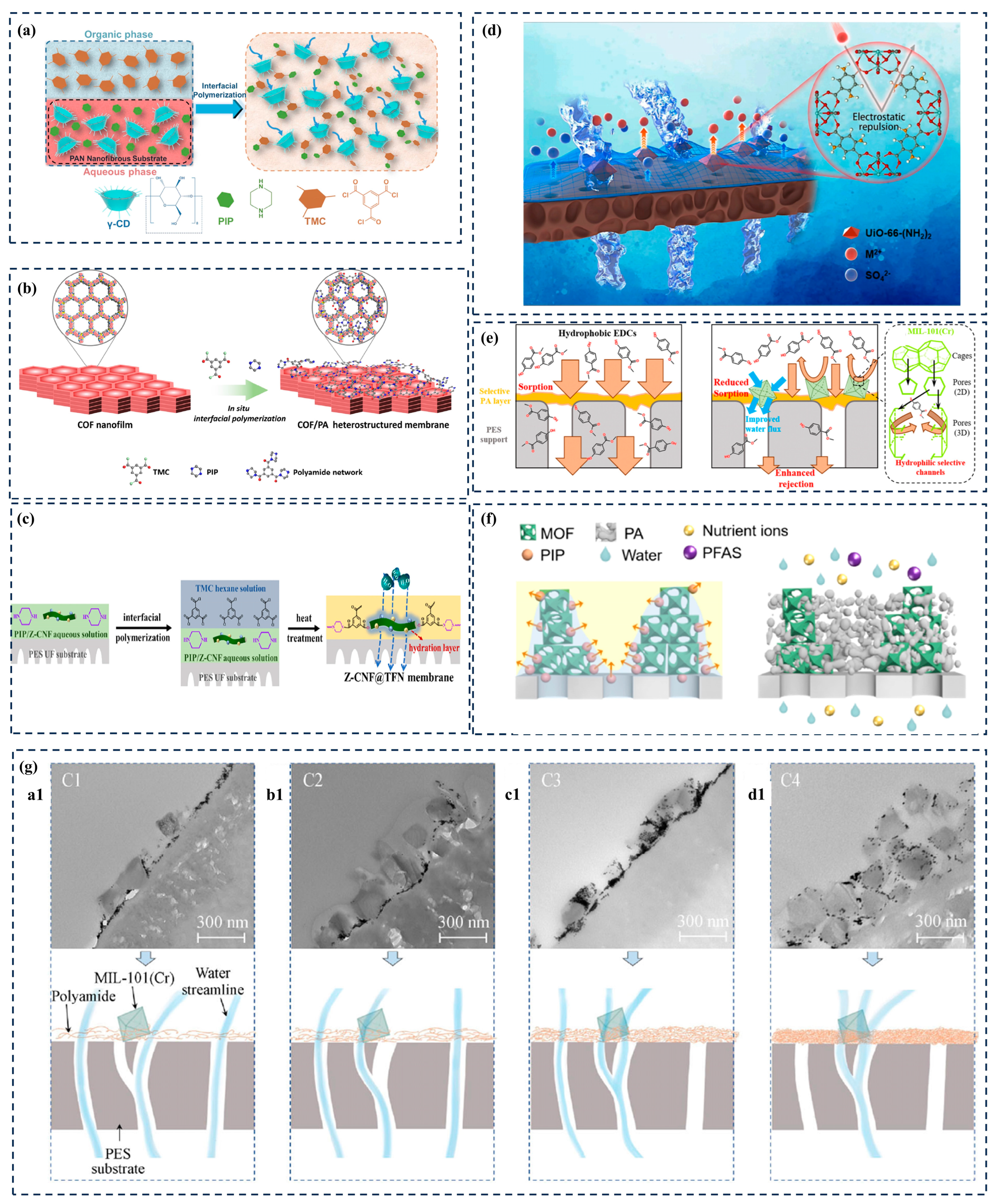 Membranes 14 00201 g004