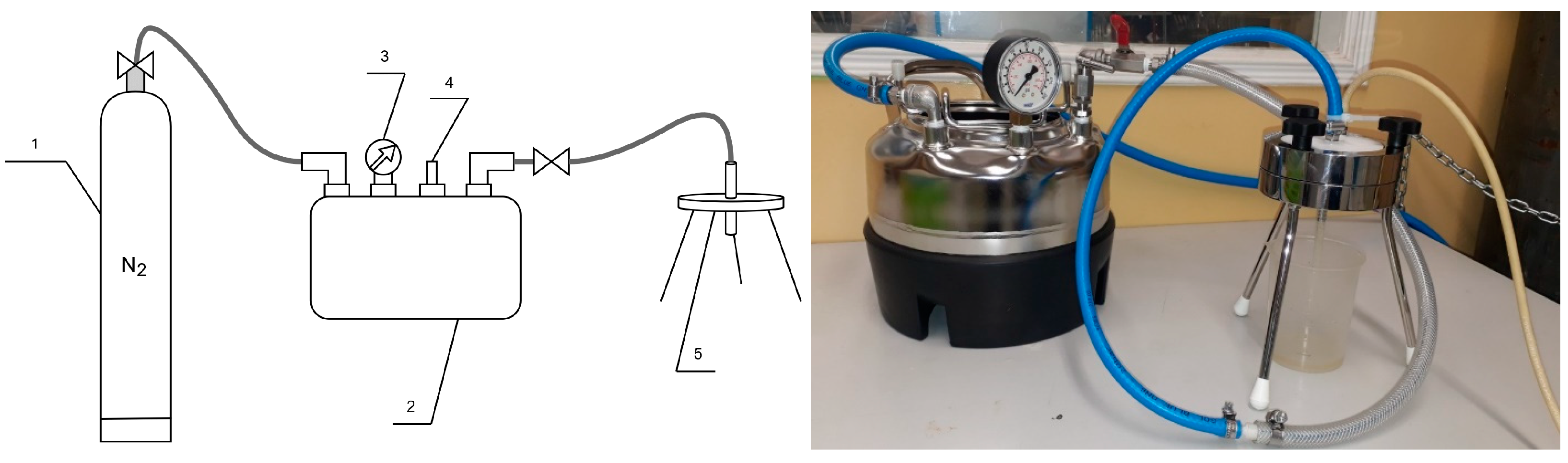 Membranes 14 00203 g003