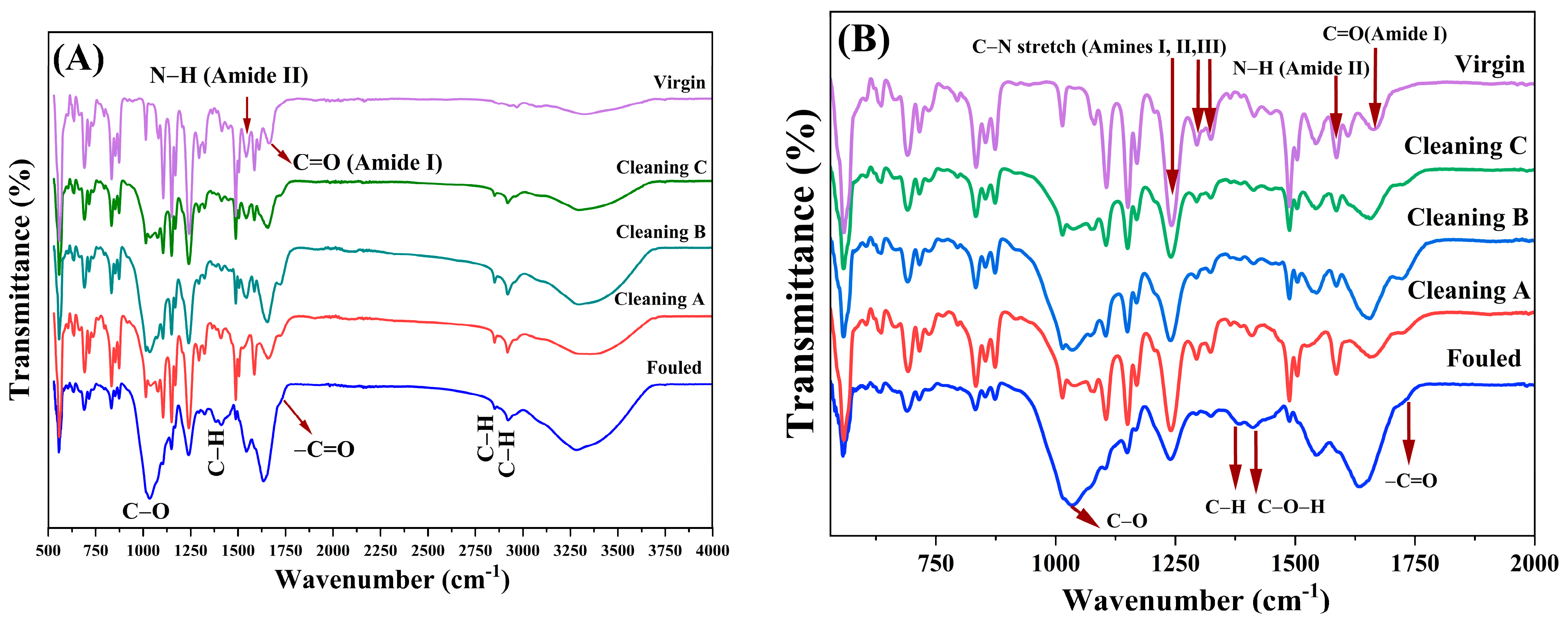 Membranes 14 00204 g003 Membranes 14 00204 g003