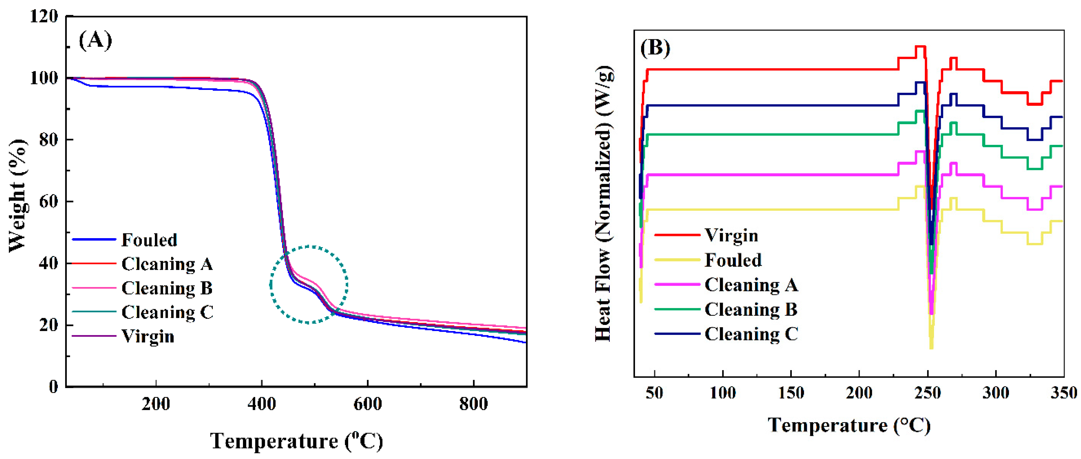 Membranes 14 00204 g004 Membranes 14 00204 g004
