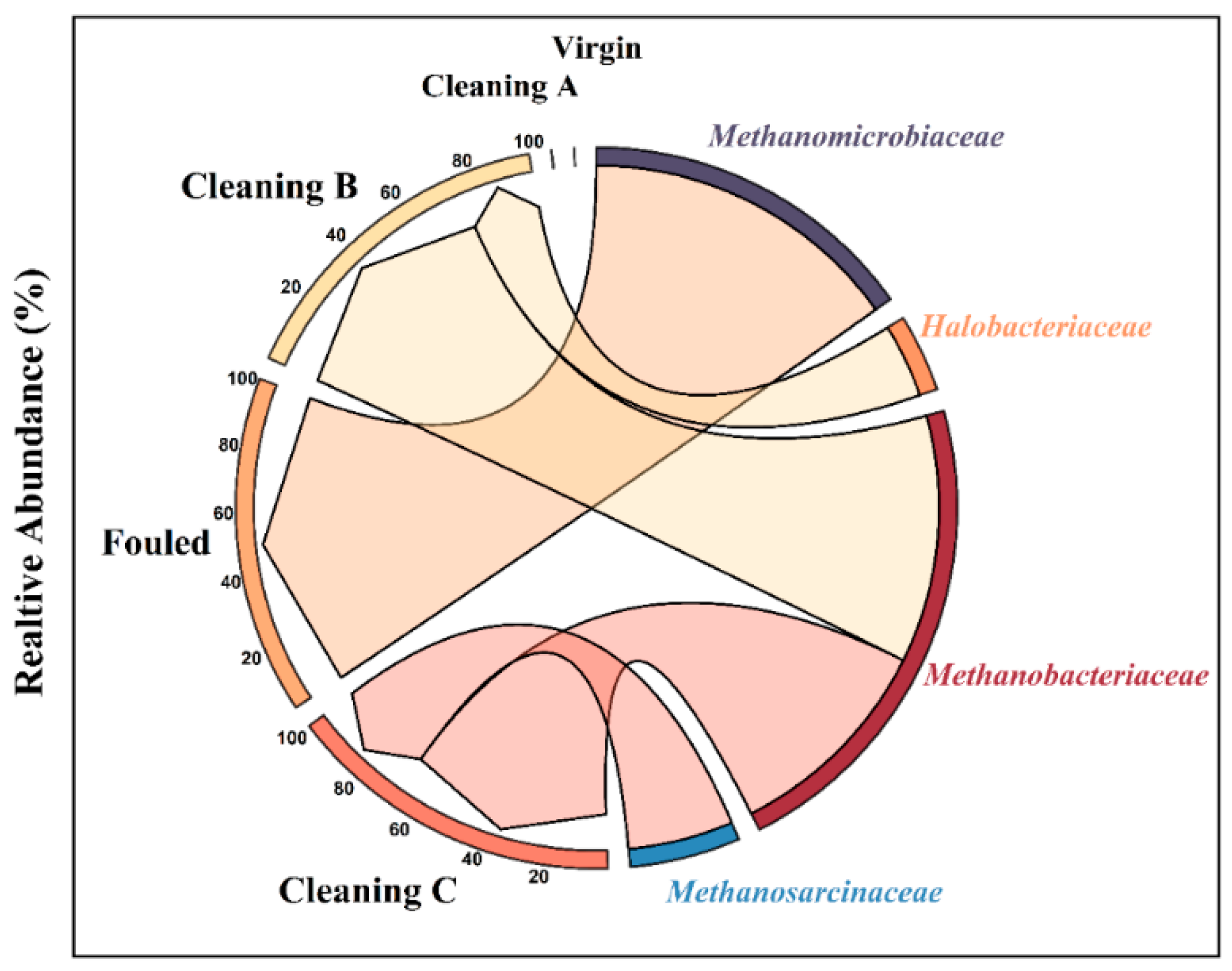 Membranes 14 00204 g010 Membranes 14 00204 g010