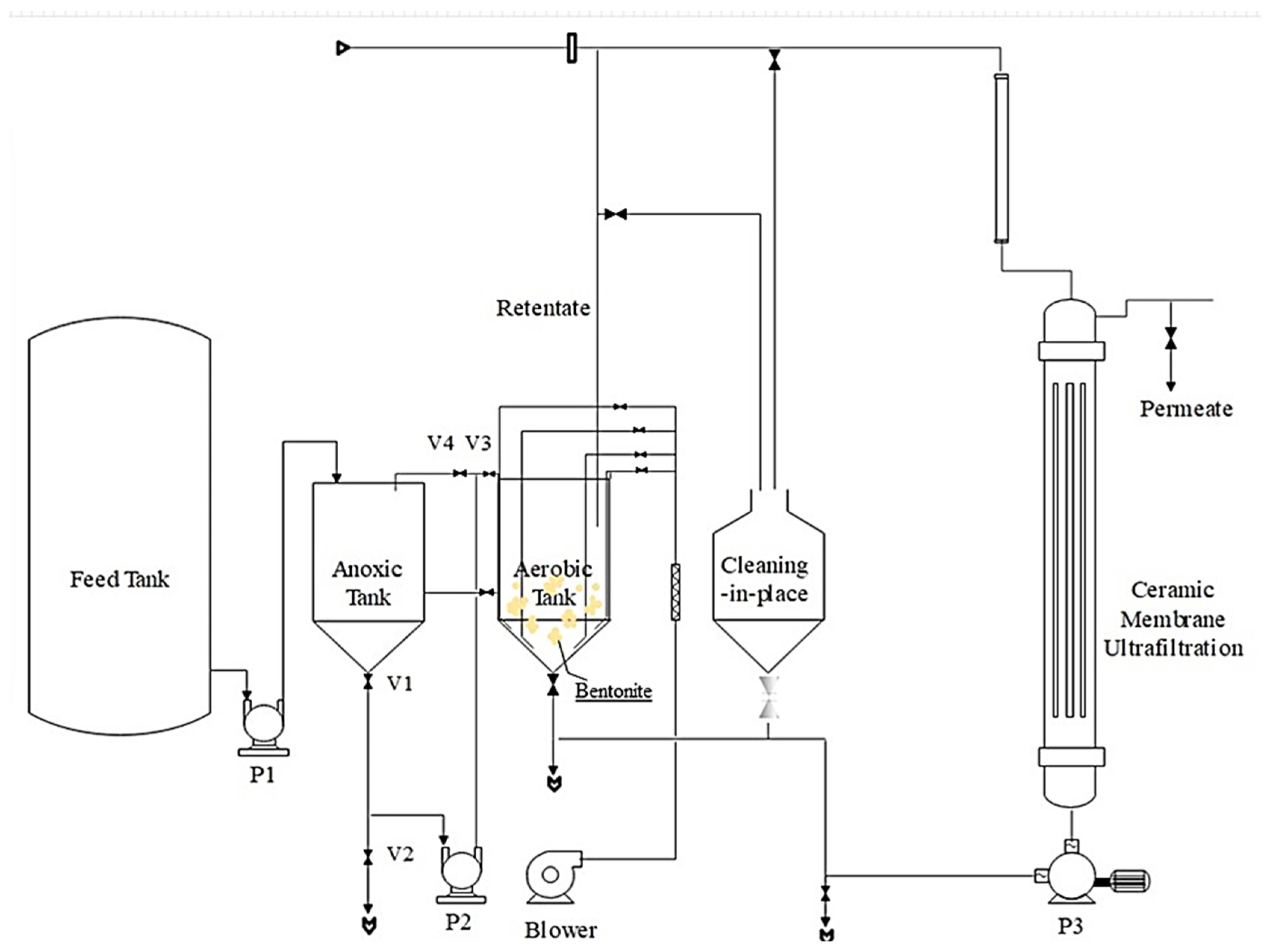 Membranes 14 00205 g001