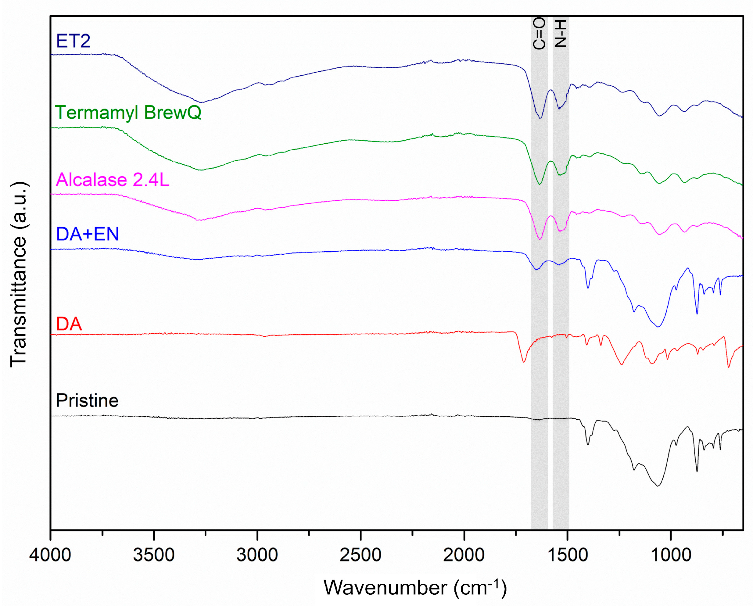 Membranes 14 00208 g003
