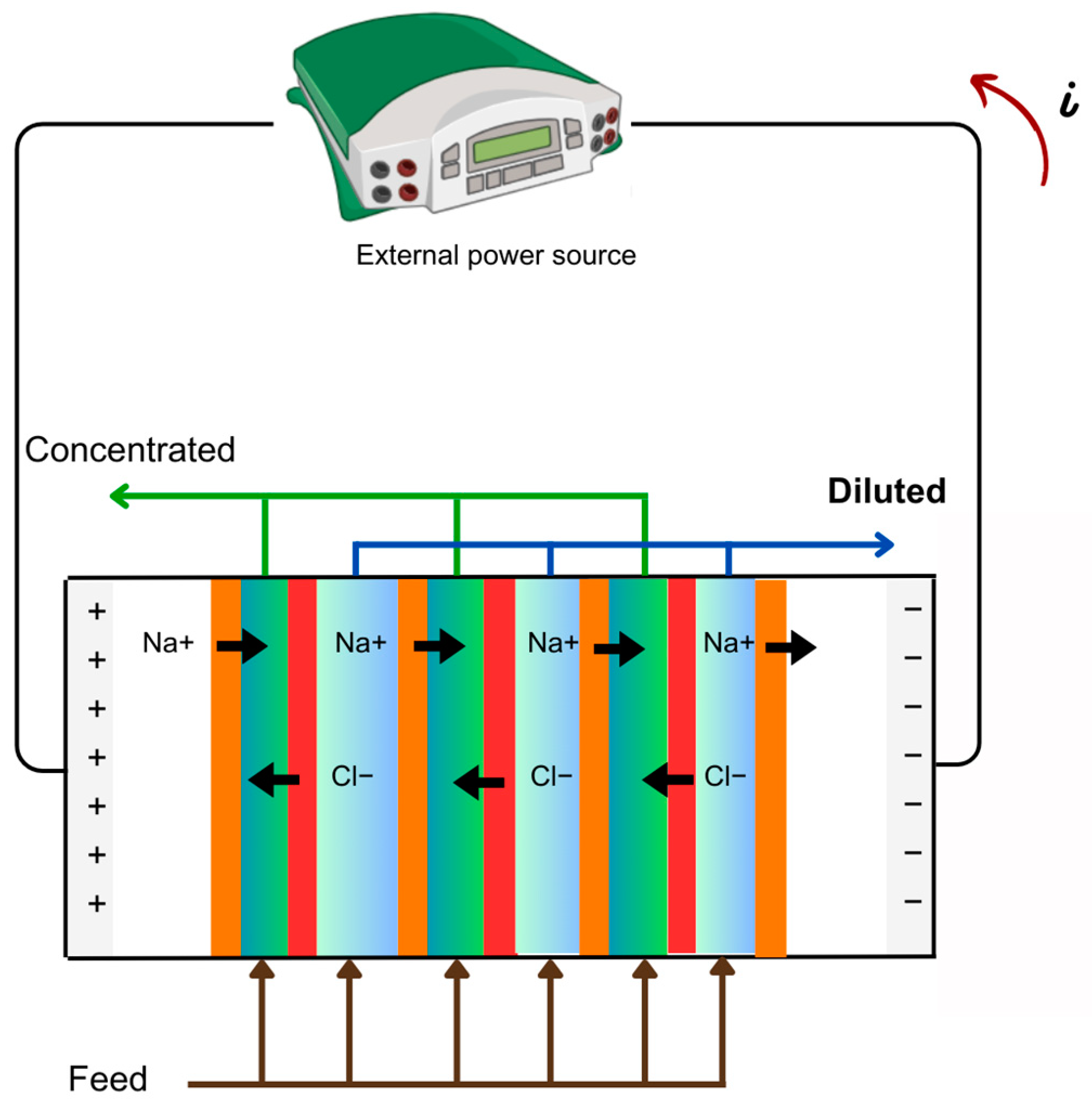 Membranes 14 00209 g004