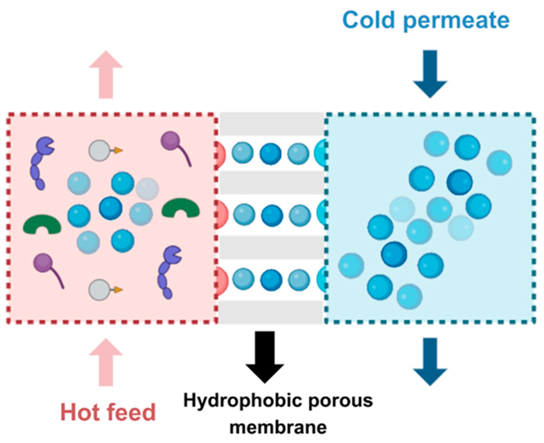 Membranes 14 00209 g005