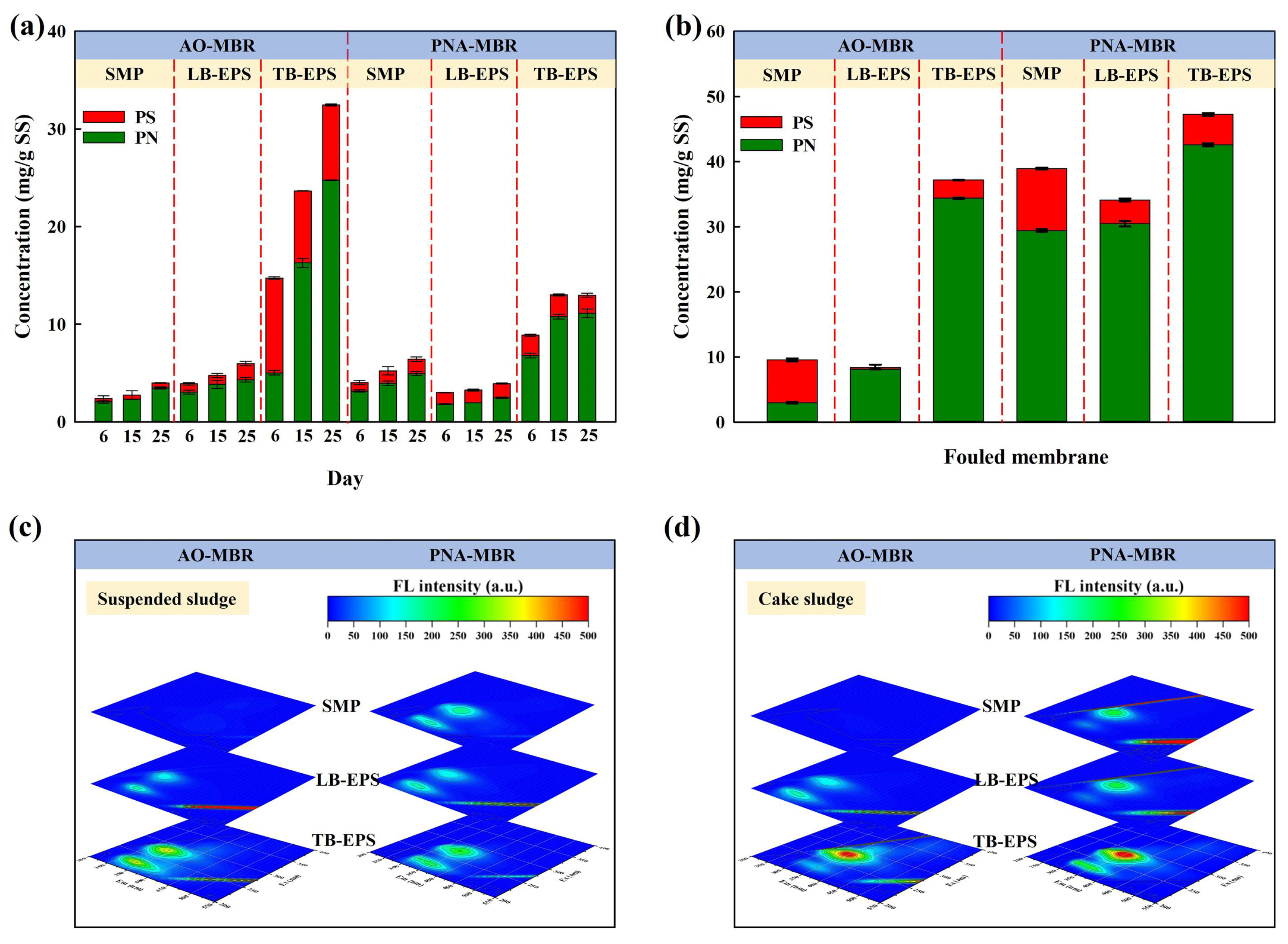 Membranes 14 00214 g004