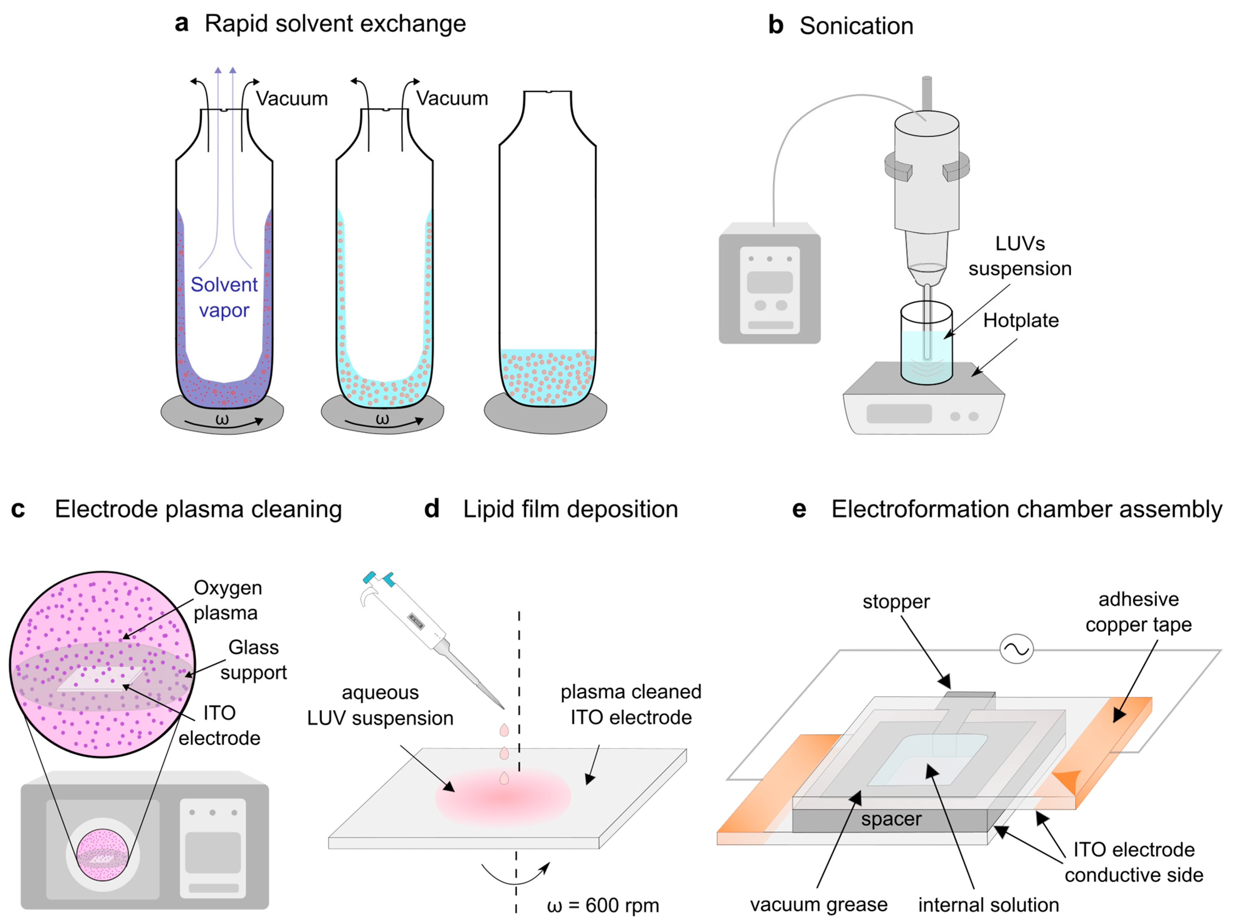 Membranes 14 00215 g002 Membranes 14 00215 g002
