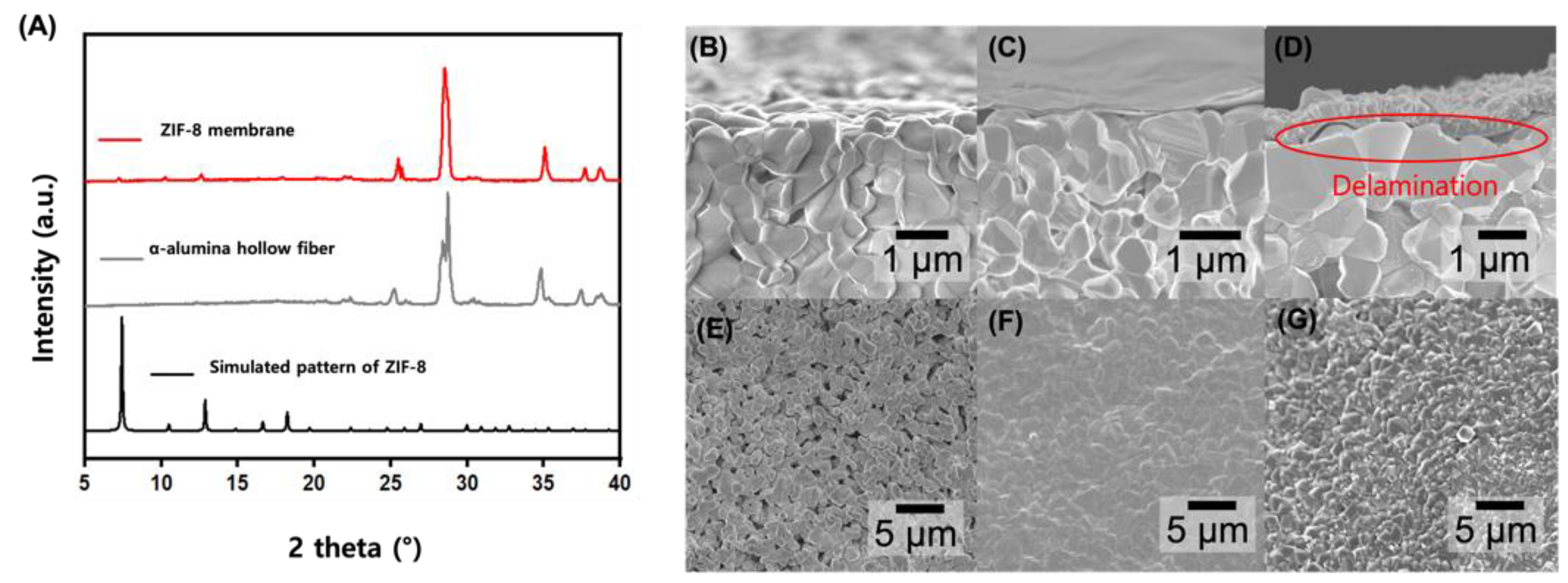 Membranes 14 00216 g003