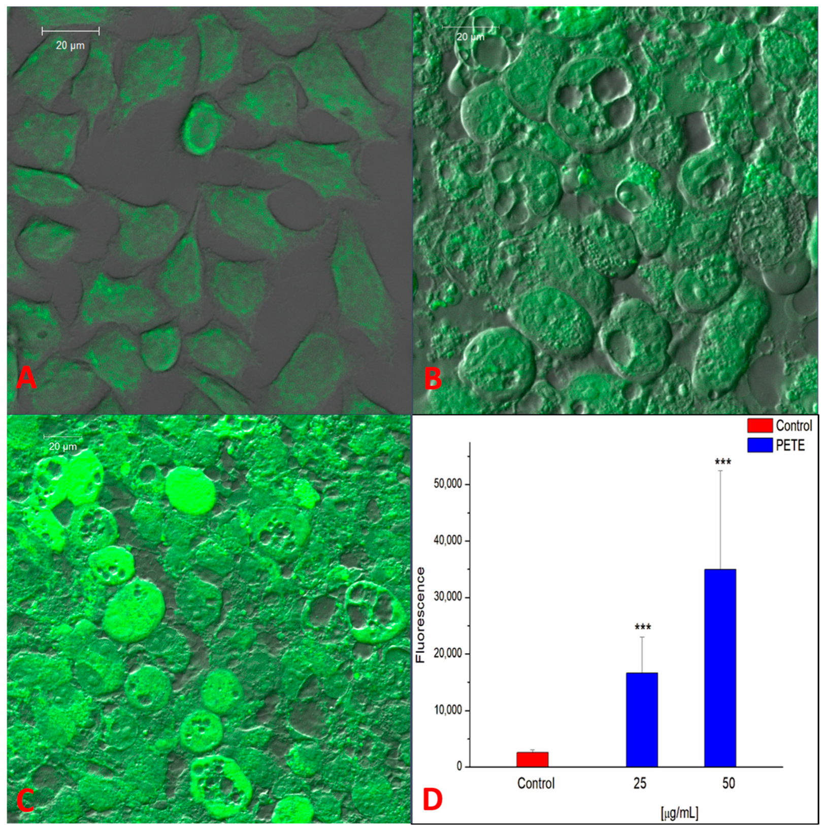 Membranes 14 00218 g005 Membranes 14 00218 g005