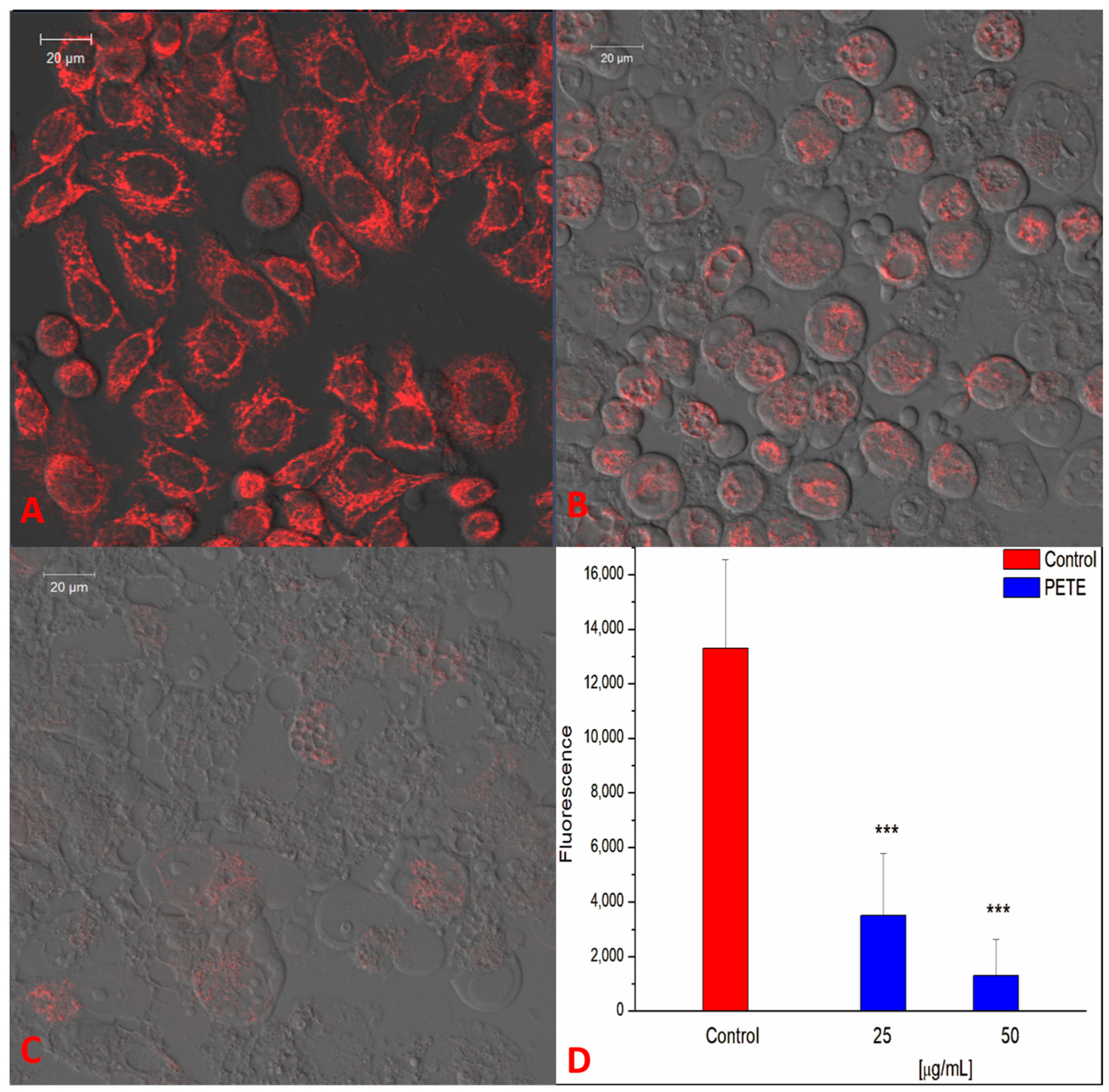 Membranes 14 00218 g006 Membranes 14 00218 g006