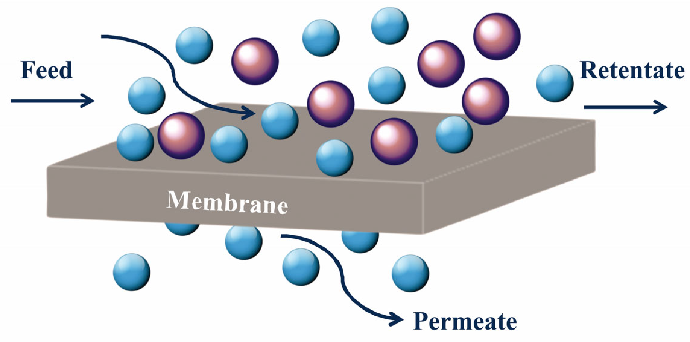 Membranes 14 00224 g001