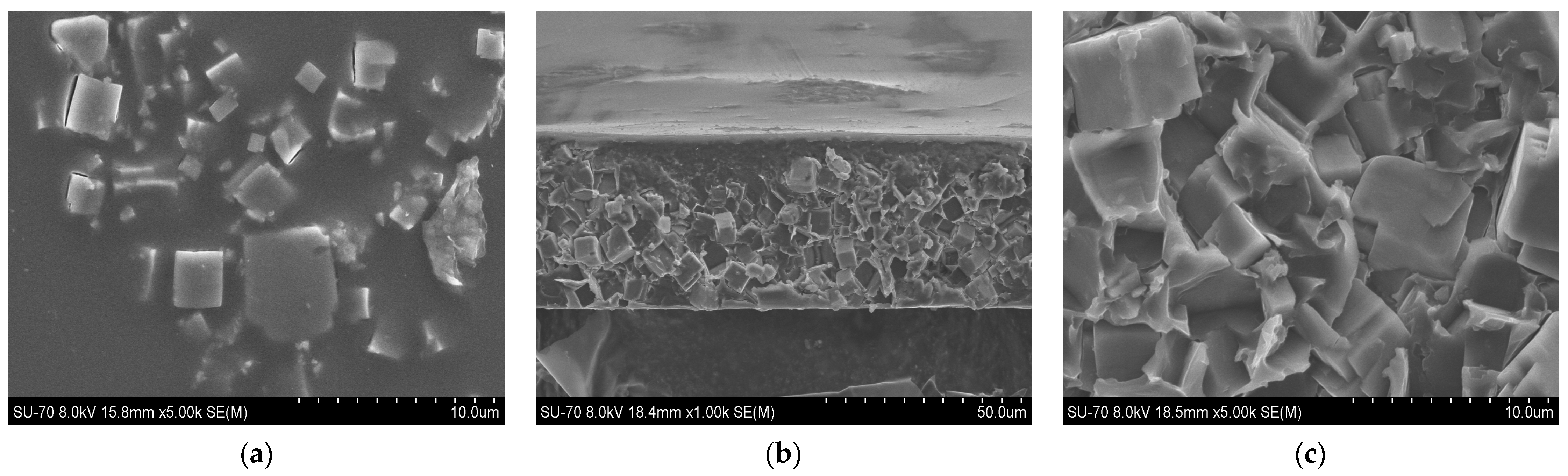 Membranes 14 00230 g005