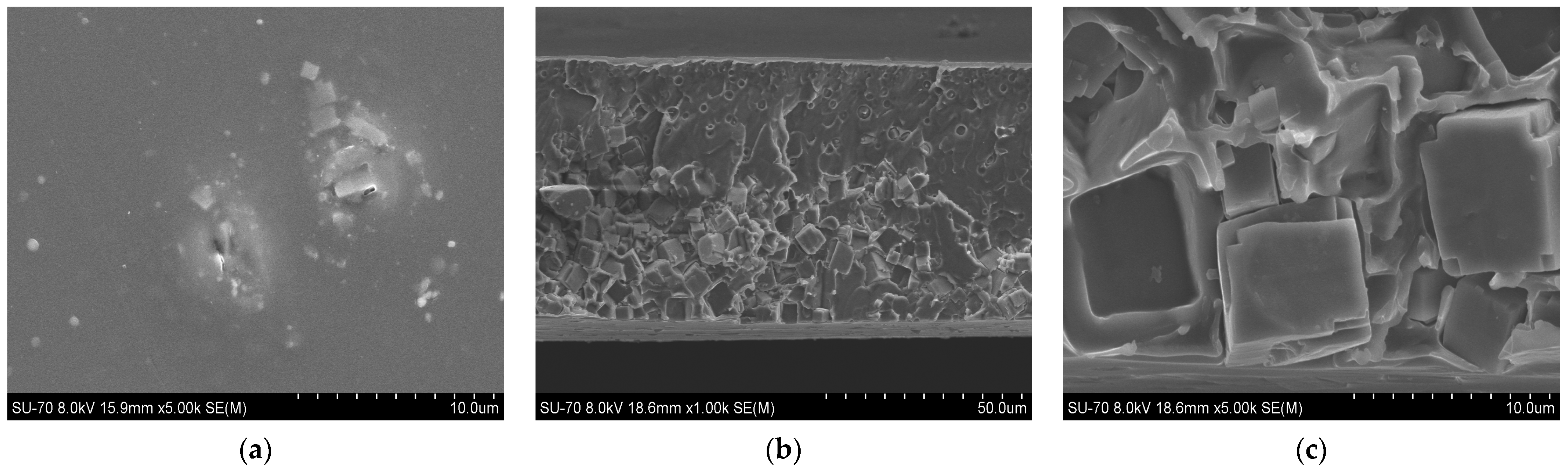 Membranes 14 00230 g006