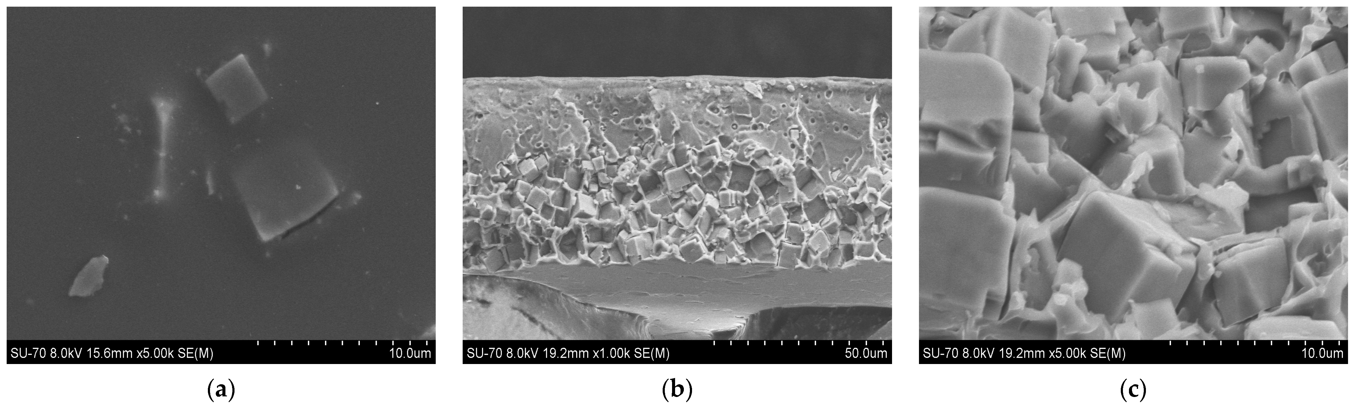 Membranes 14 00230 g007