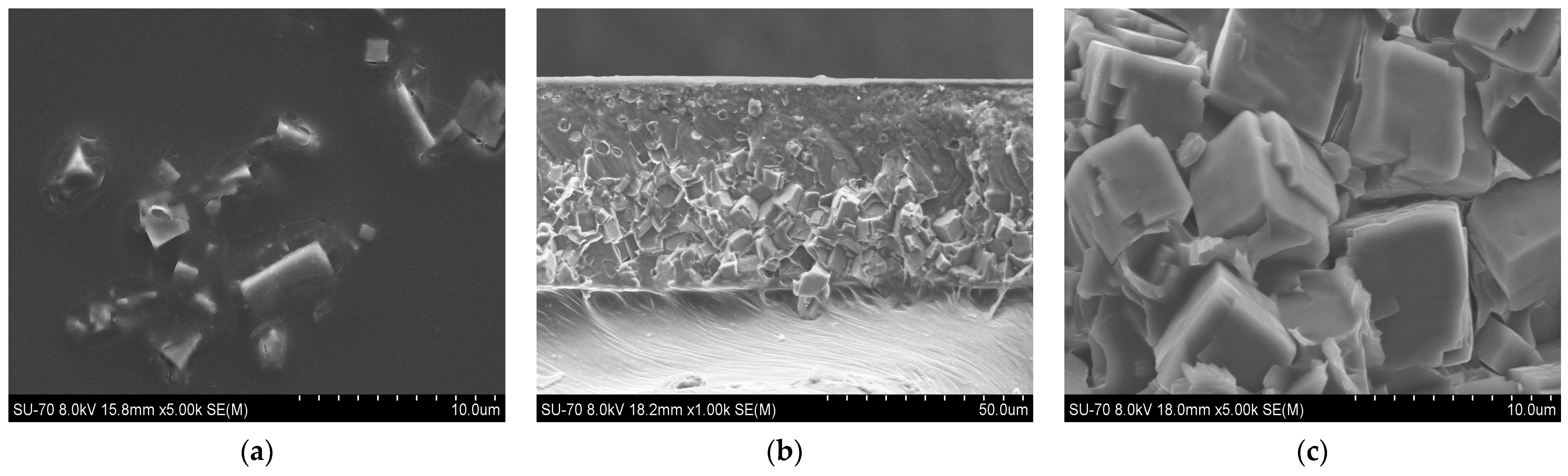Membranes 14 00230 g008