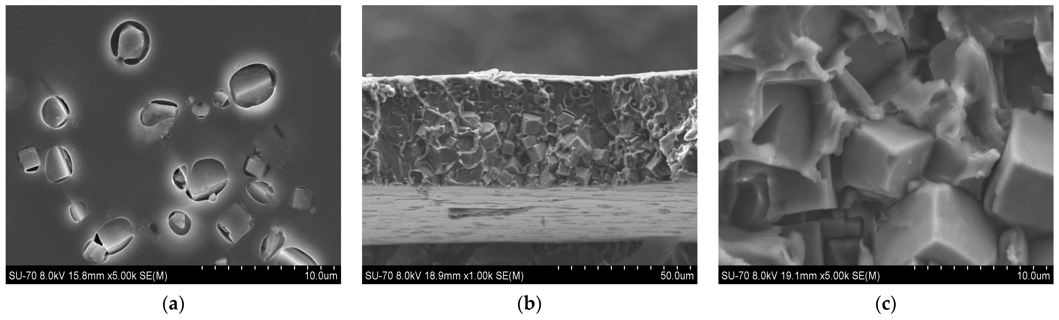 Membranes 14 00230 g009