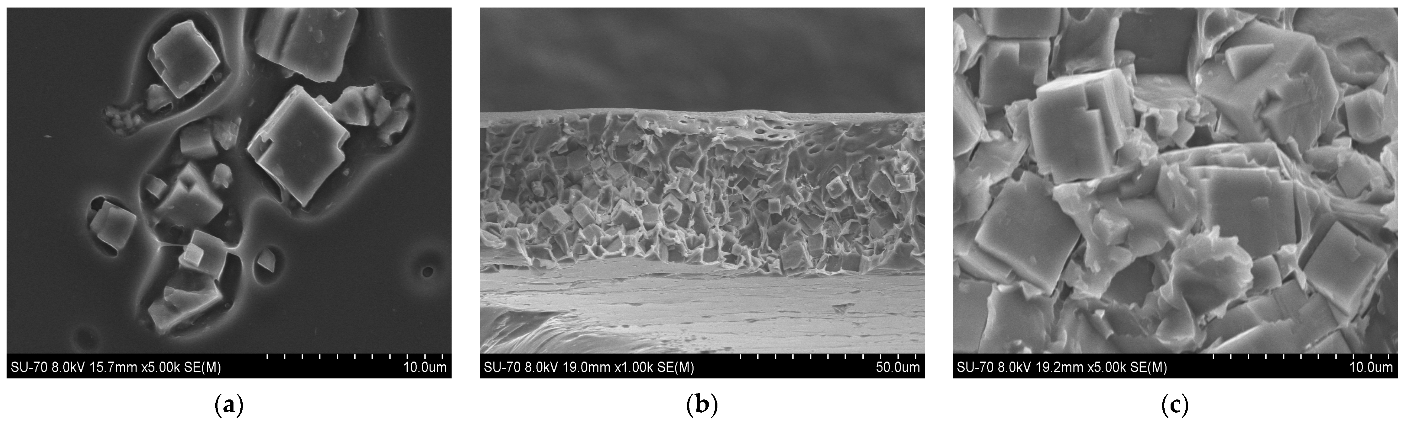 Membranes 14 00230 g010