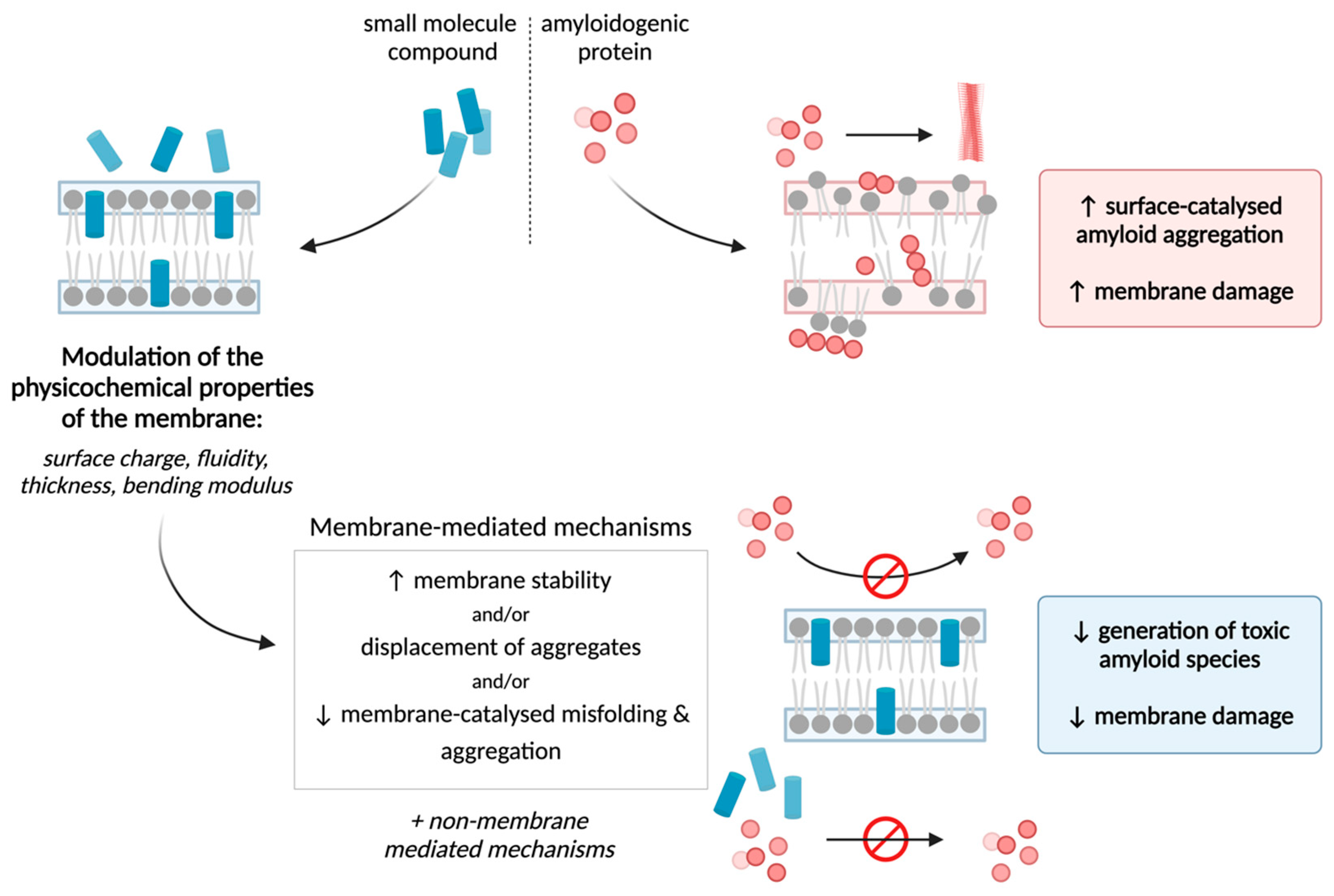 Membranes 14 00231 g001 Membranes 14 00231 g001
