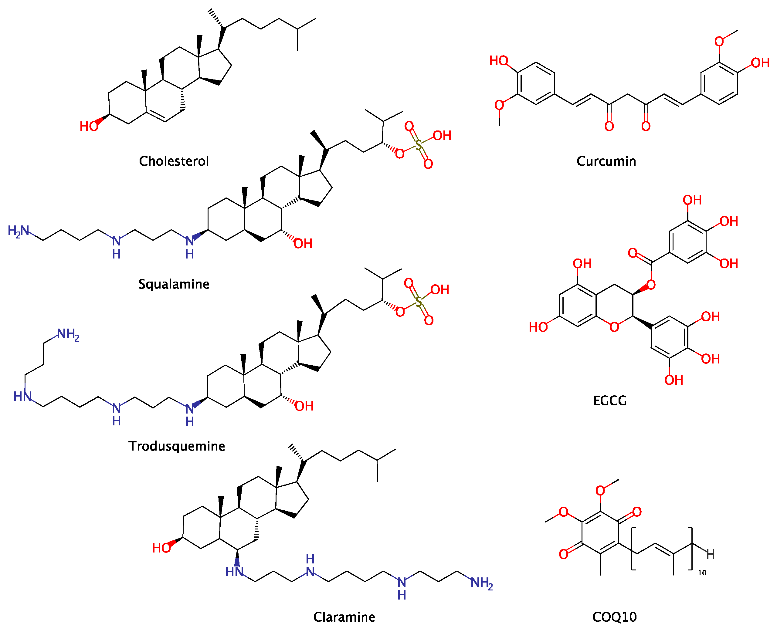 Membranes 14 00231 g002 Membranes 14 00231 g002