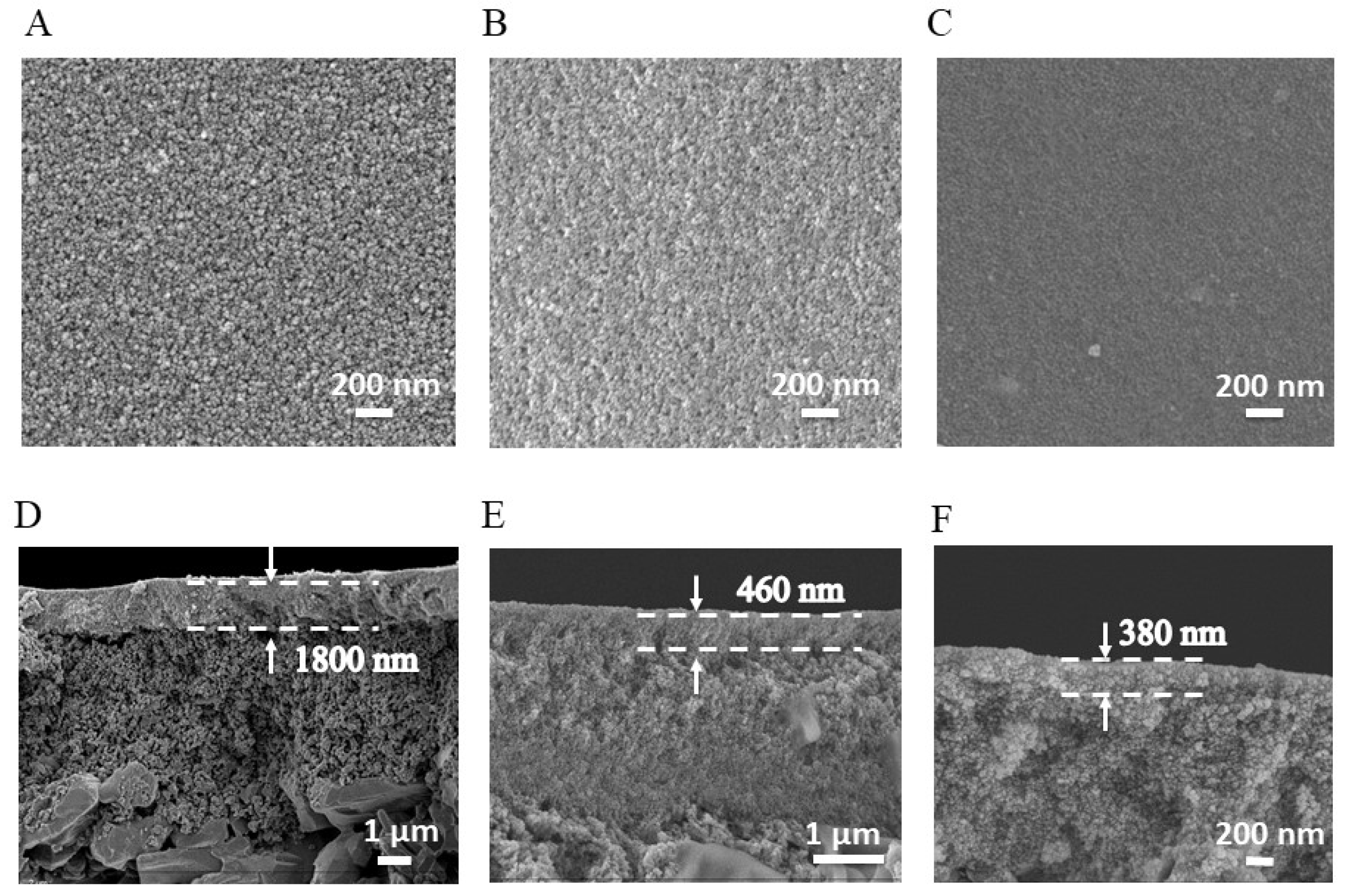 Membranes 14 00233 g001