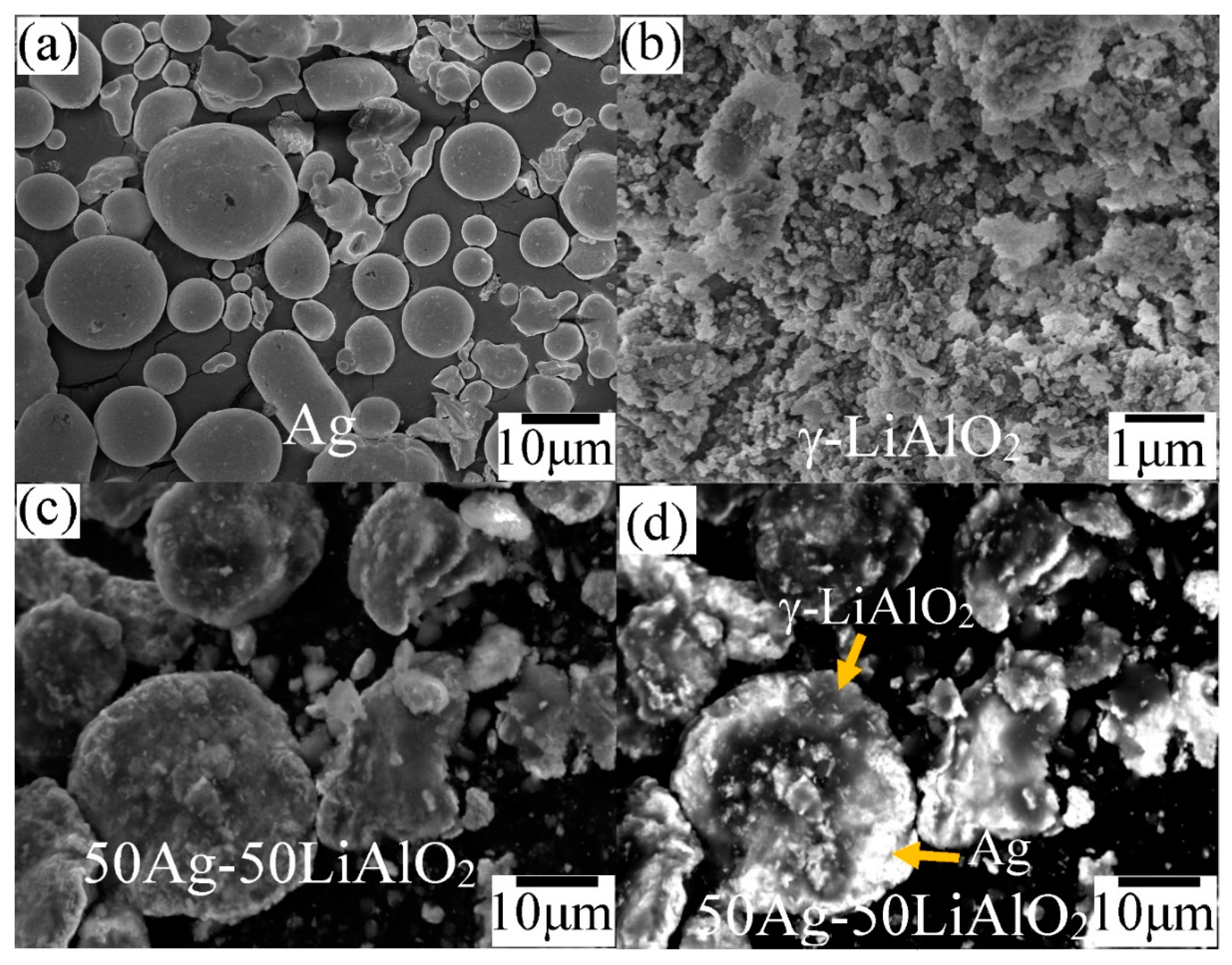 Membranes 14 00238 g002