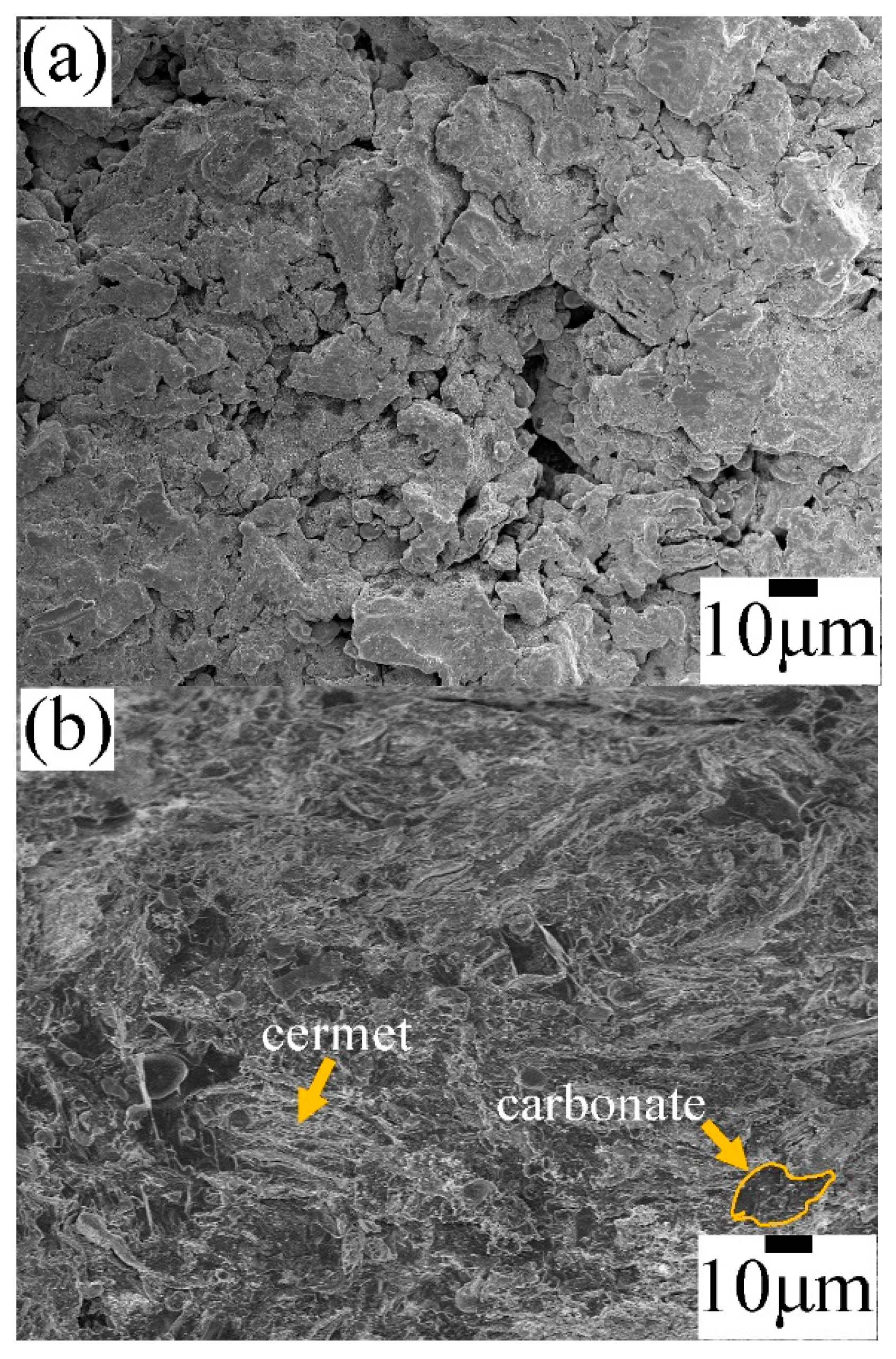 Membranes 14 00238 g003a