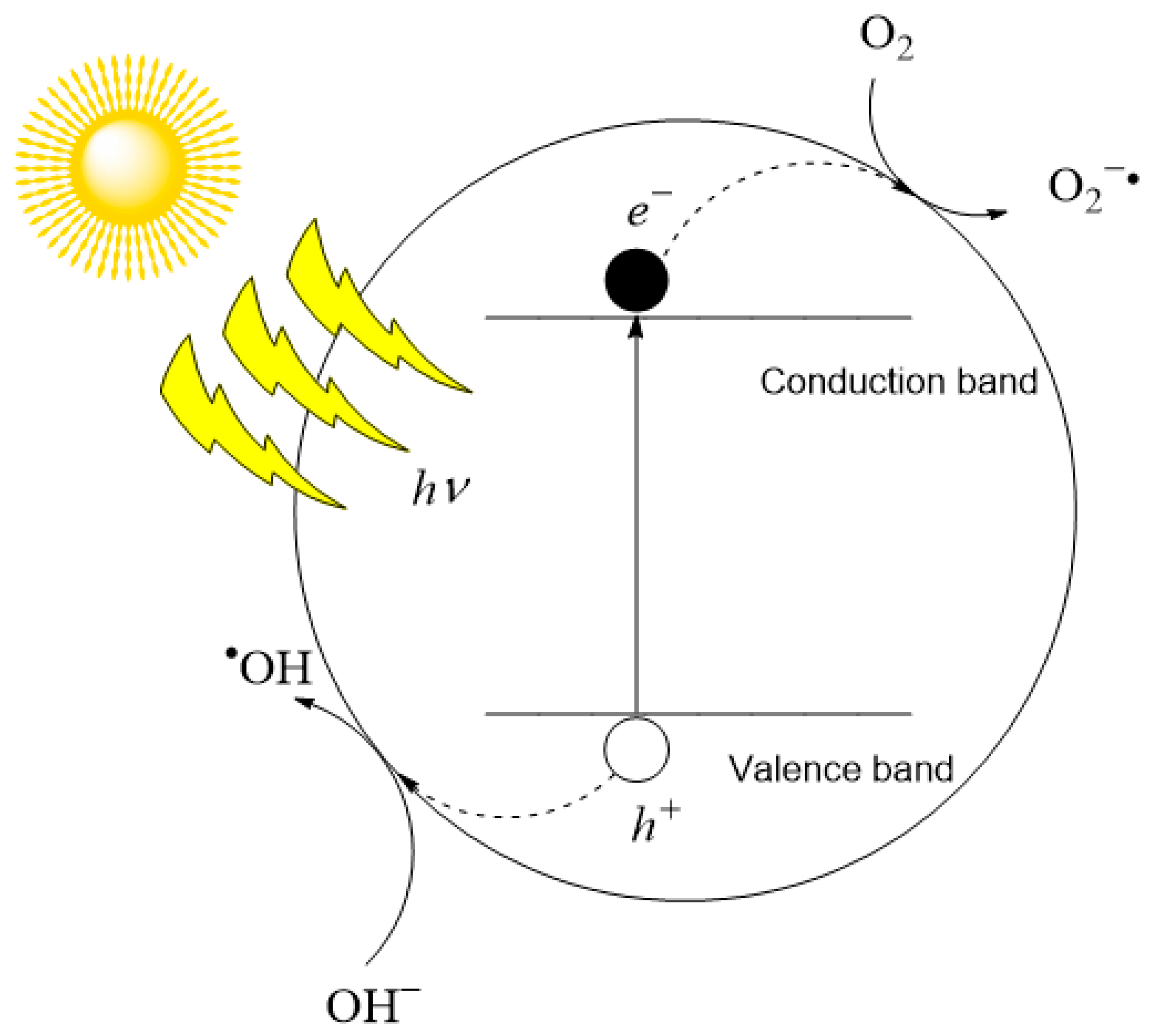 Membranes 14 00239 g001