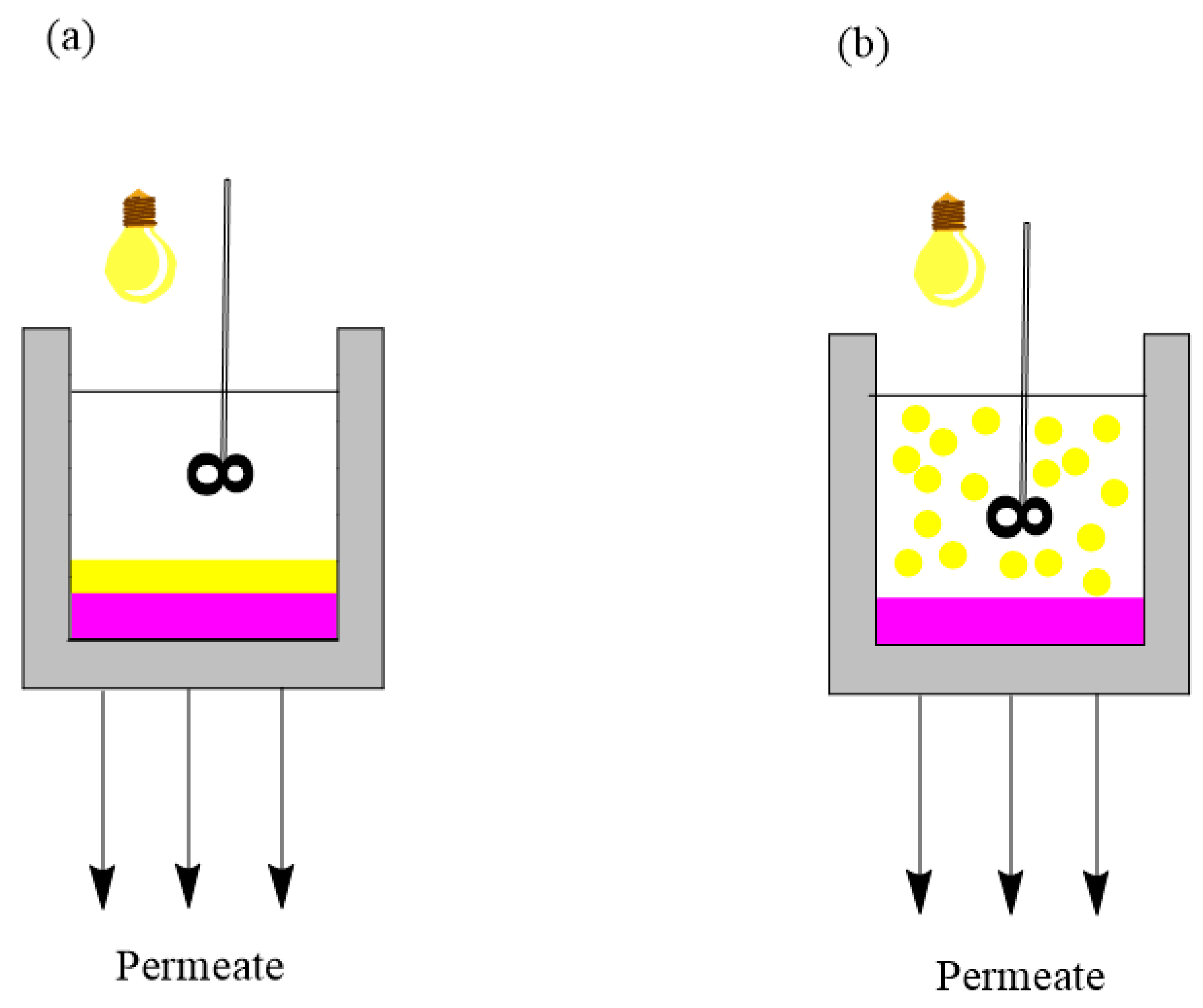 Membranes 14 00239 g004