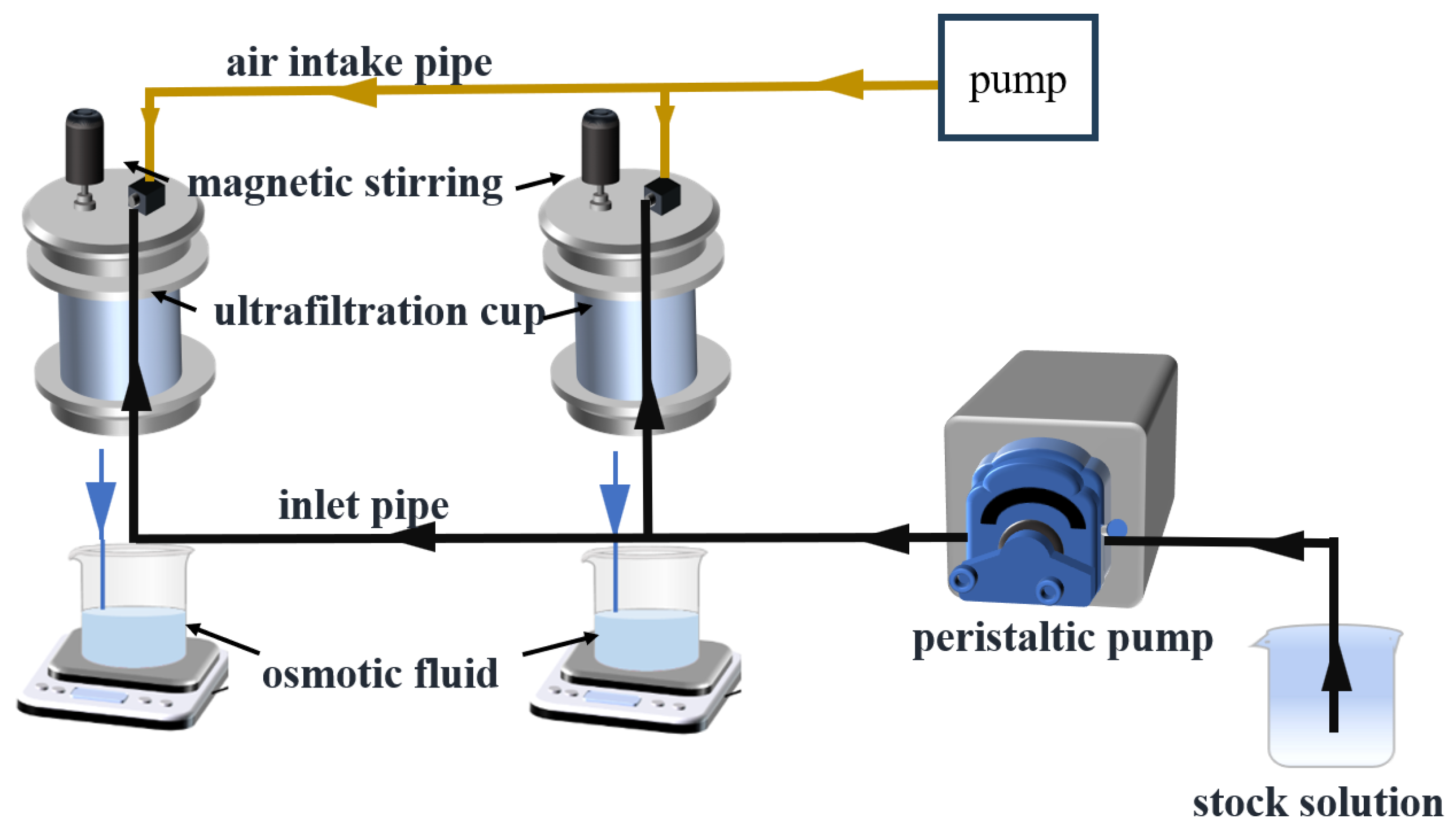 Membranes 14 00240 g001