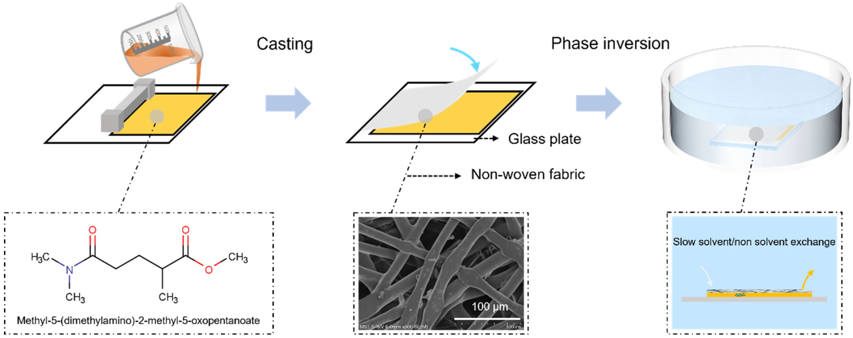 Membranes 14 00241 g001