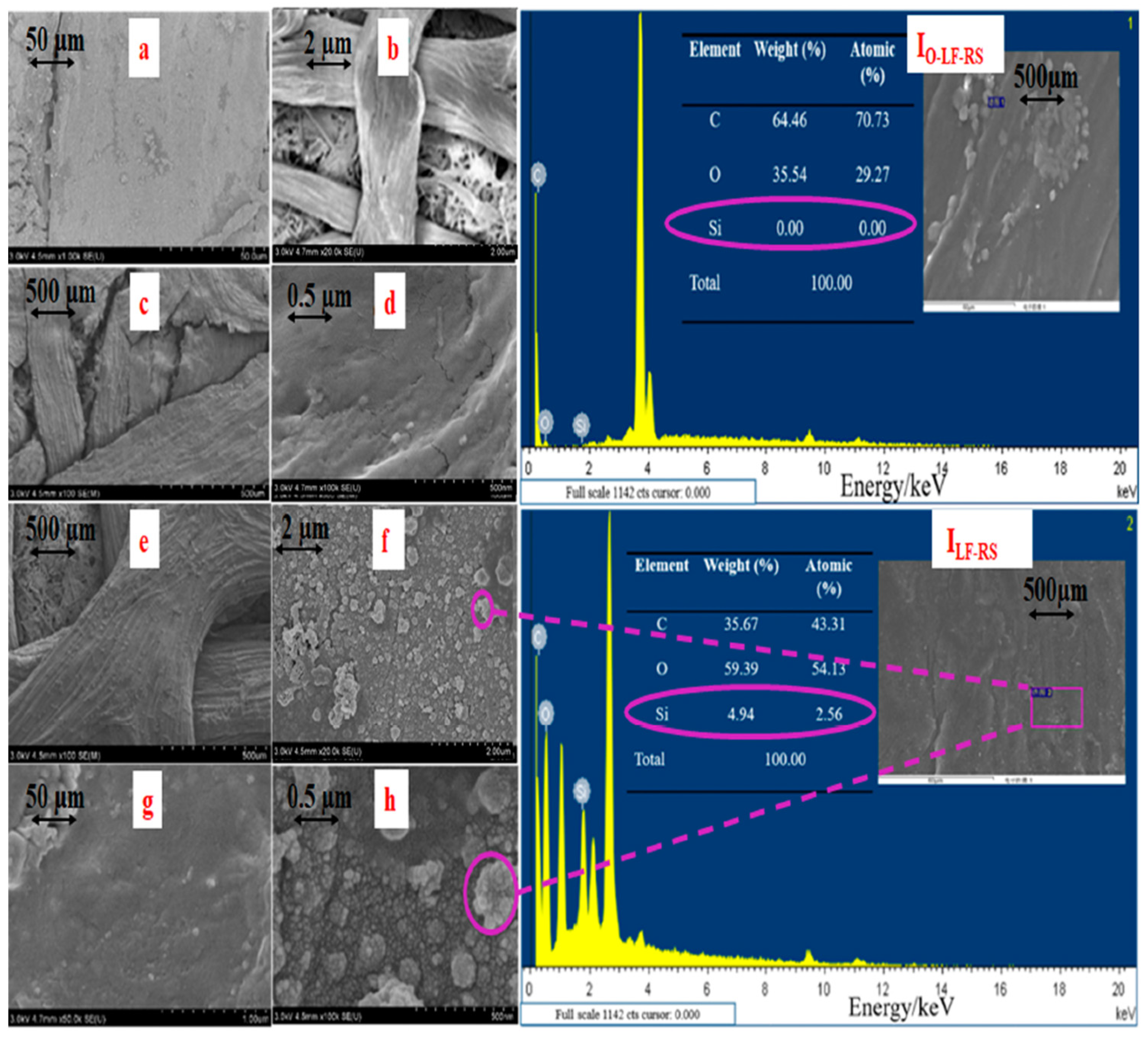 Membranes 14 00243 g002
