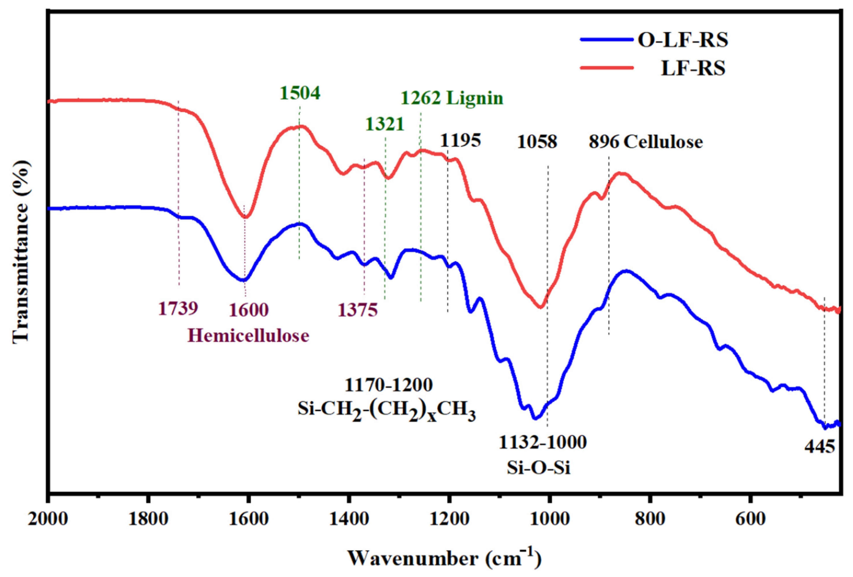 Membranes 14 00243 g003