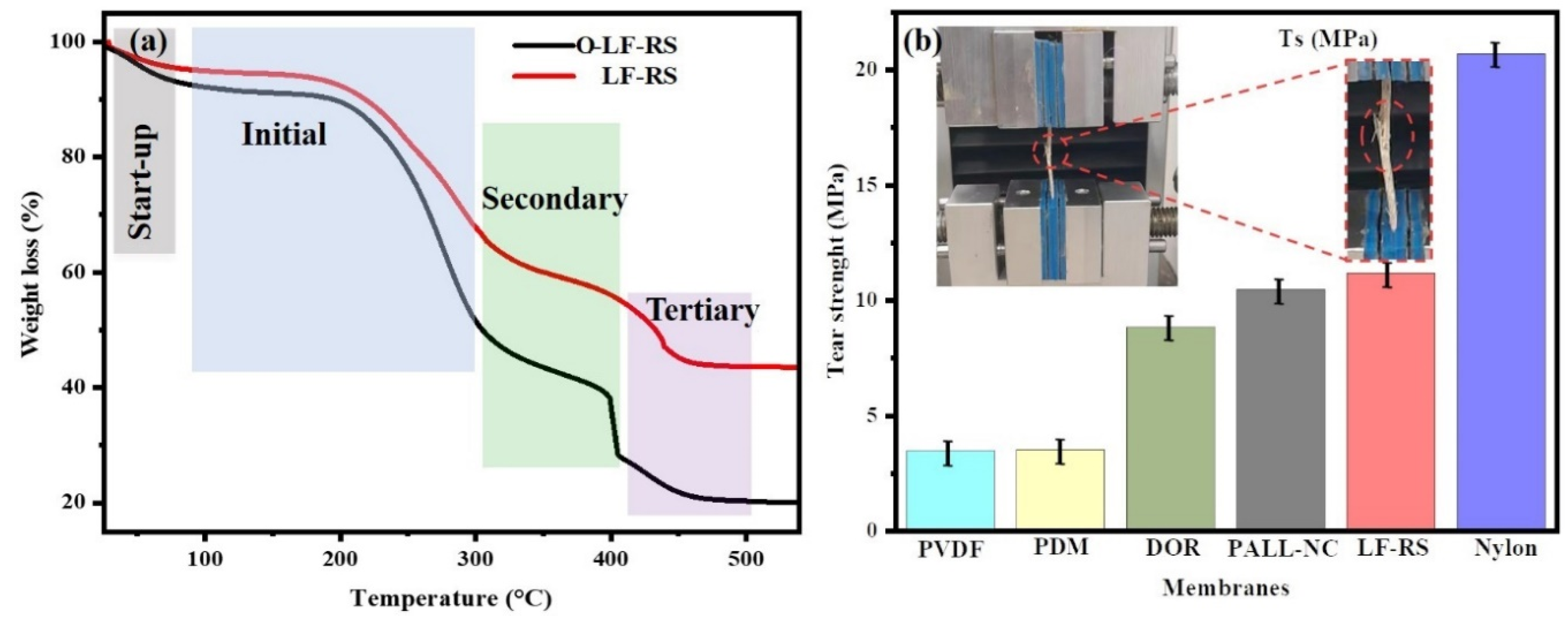 Membranes 14 00243 g006
