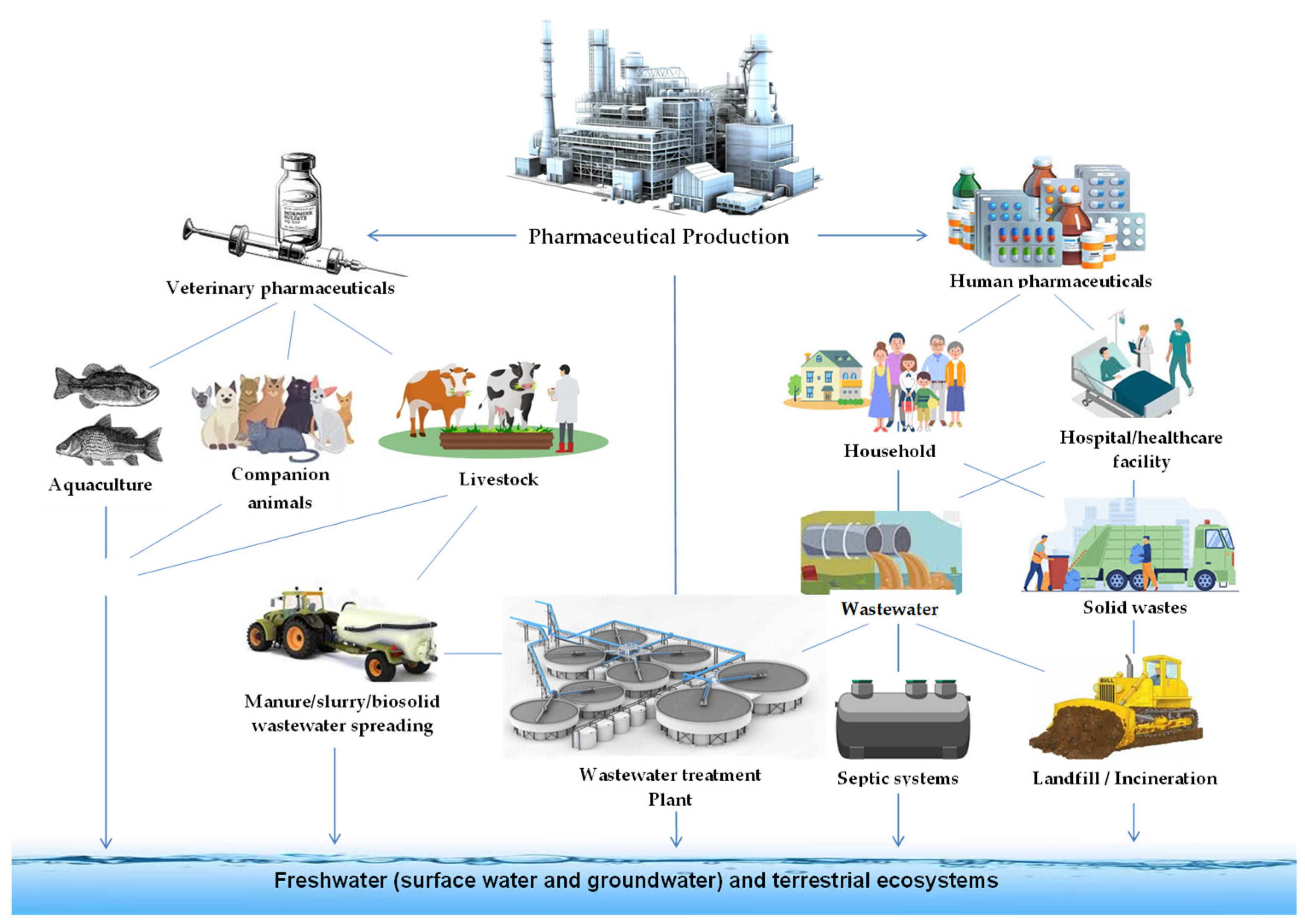 Membranes 14 00248 g001