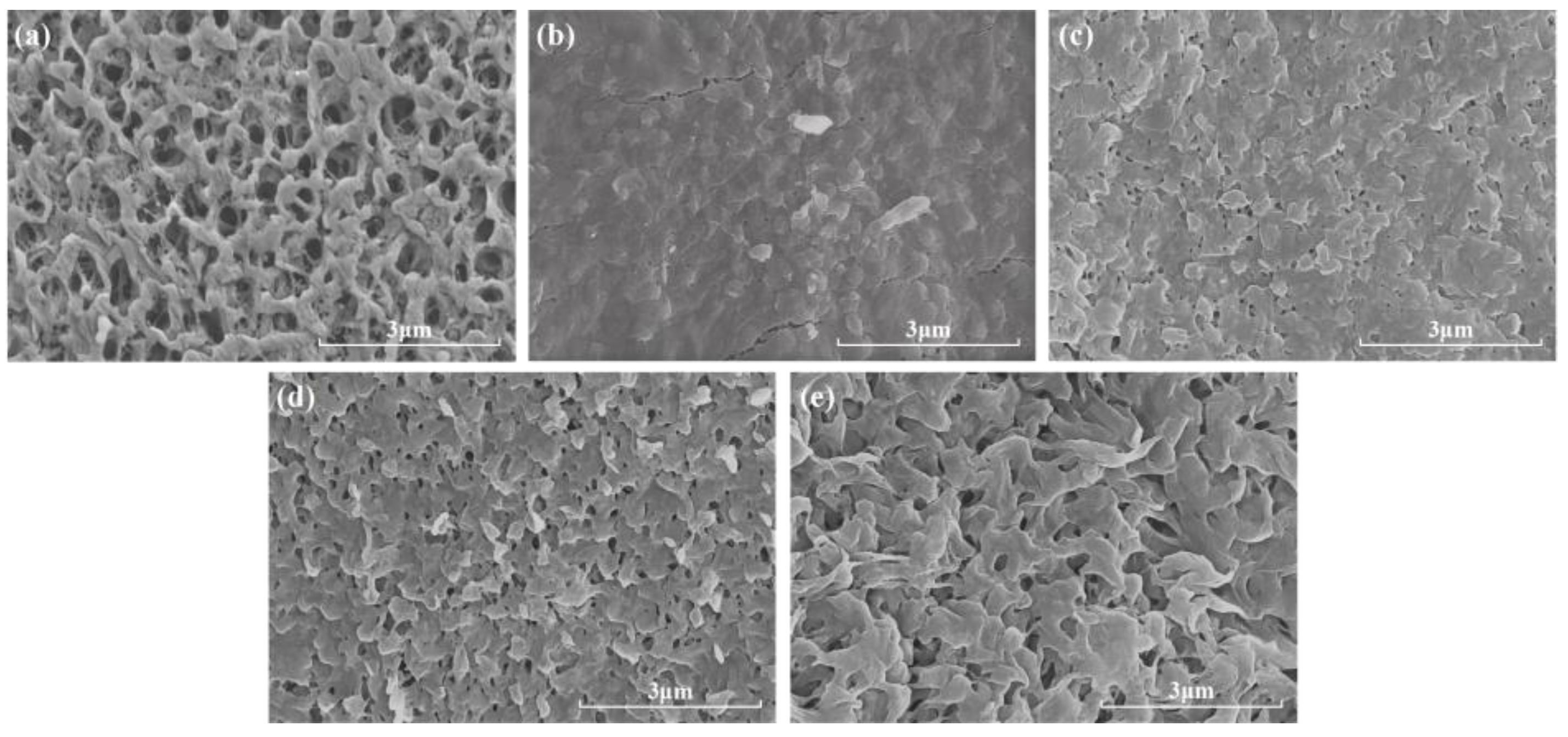 Membranes 14 00251 g011